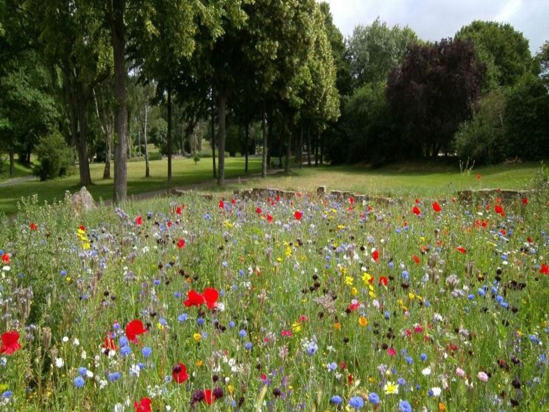 Vrijstaand vakantiehuis bij het Rosnowskie-meer met privétuin - foto 14