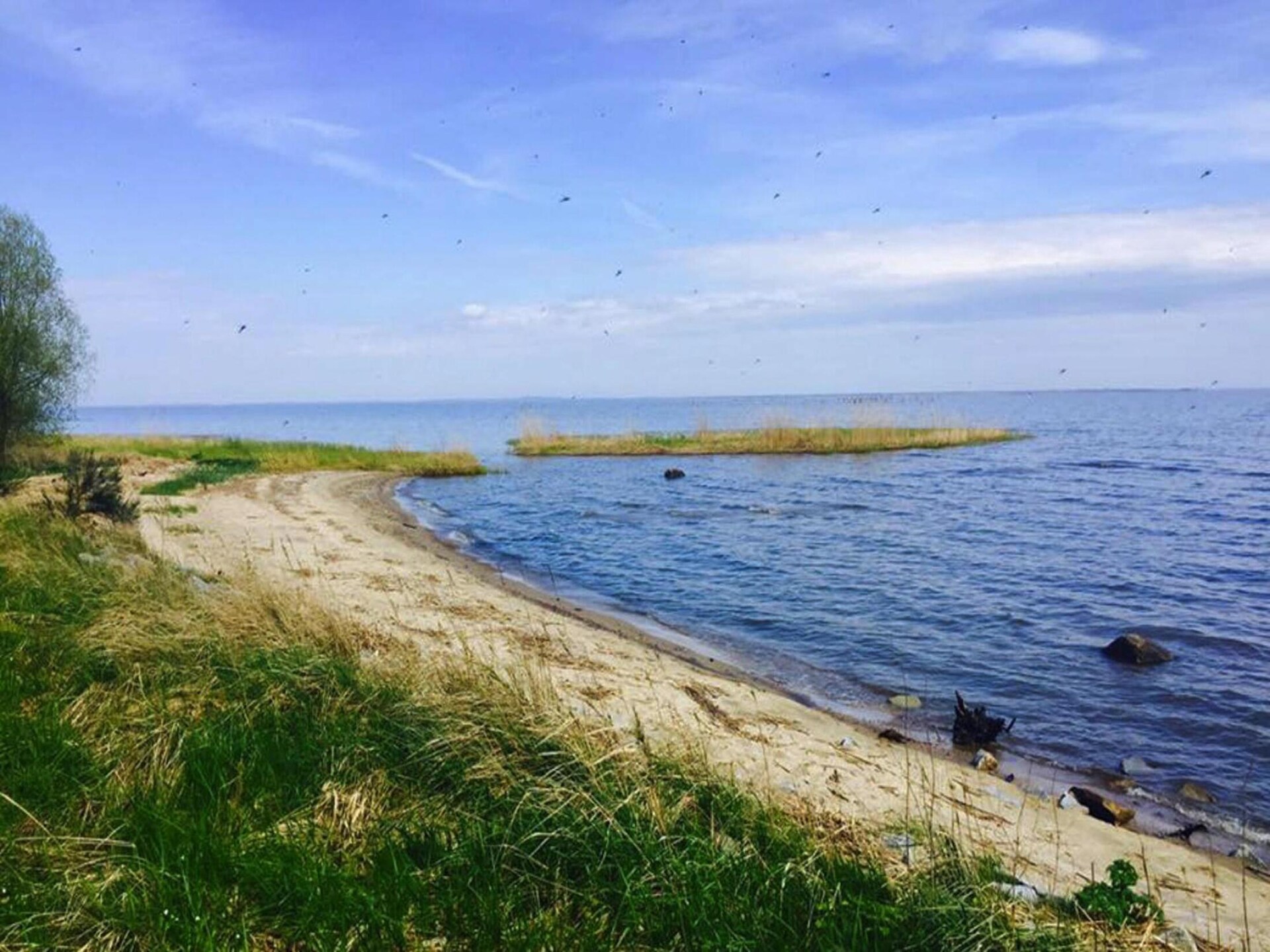 Modern vakantiehuis op 150 meter van strand en meer in Nowe Warpno - foto 14