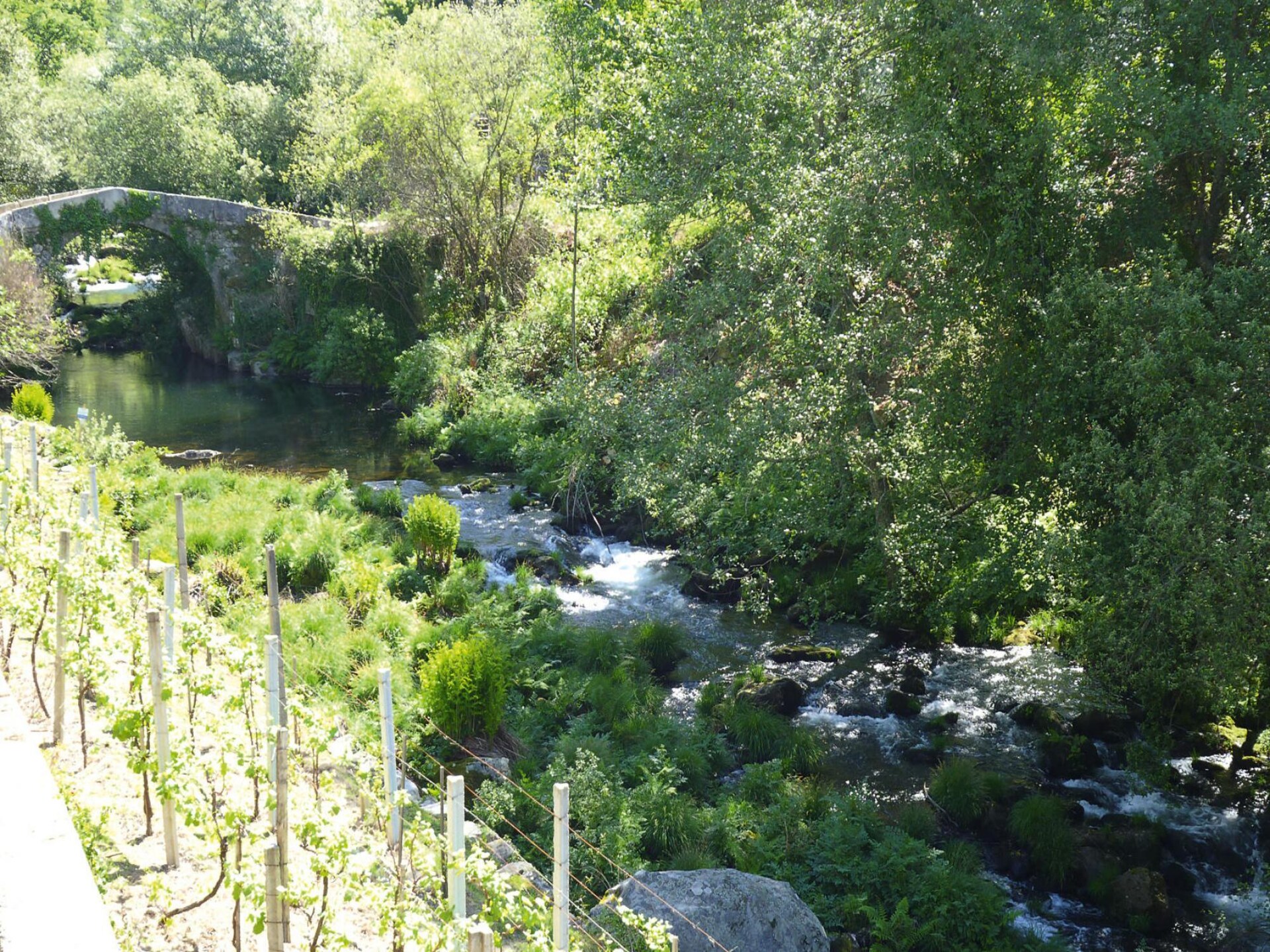 Gerenoveerd granieten huis met panoramisch uitzicht op de rivier de Caima - foto 27