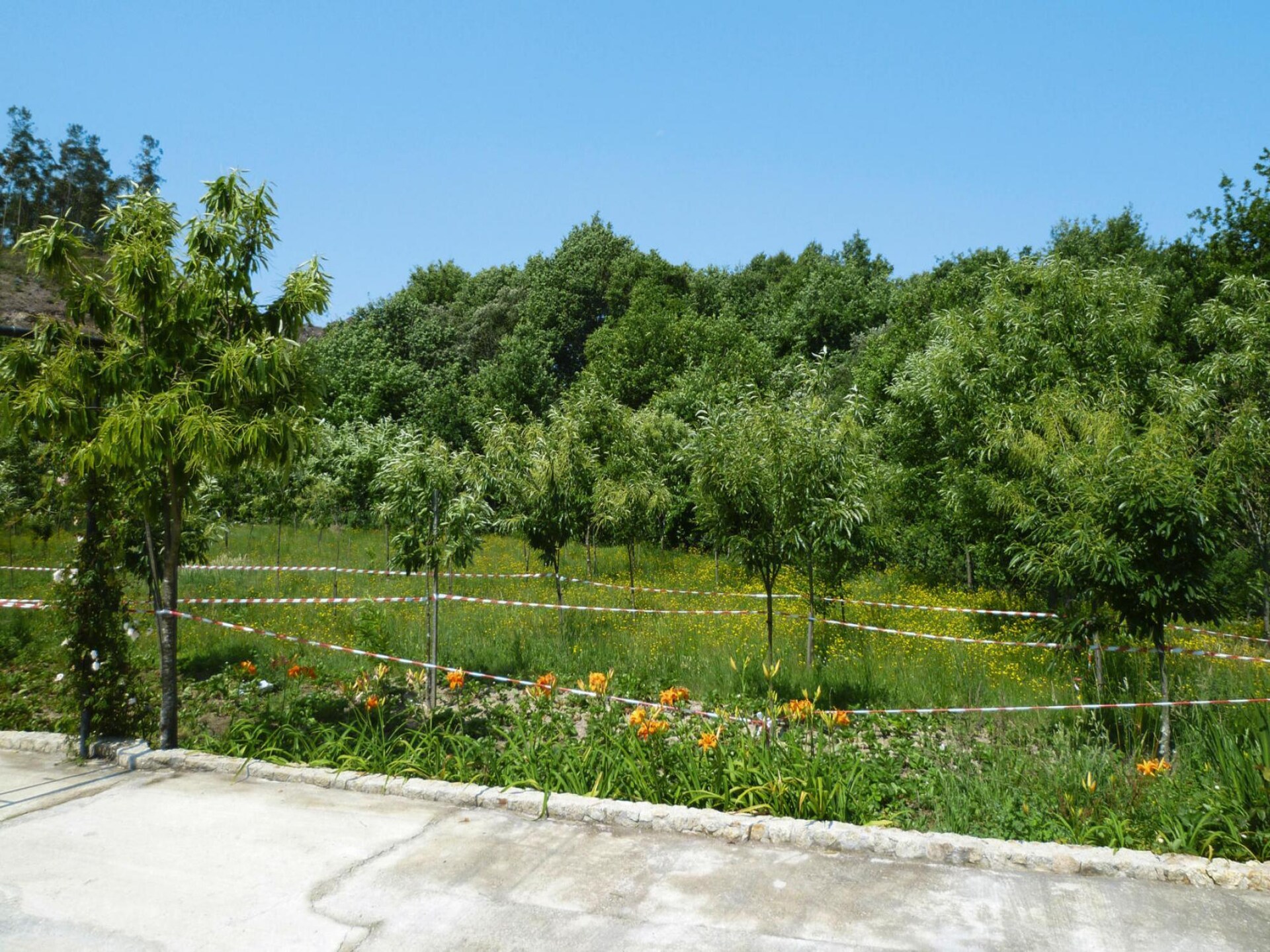 Gerenoveerd granieten huis met panoramisch uitzicht op de rivier de Caima - foto 28
