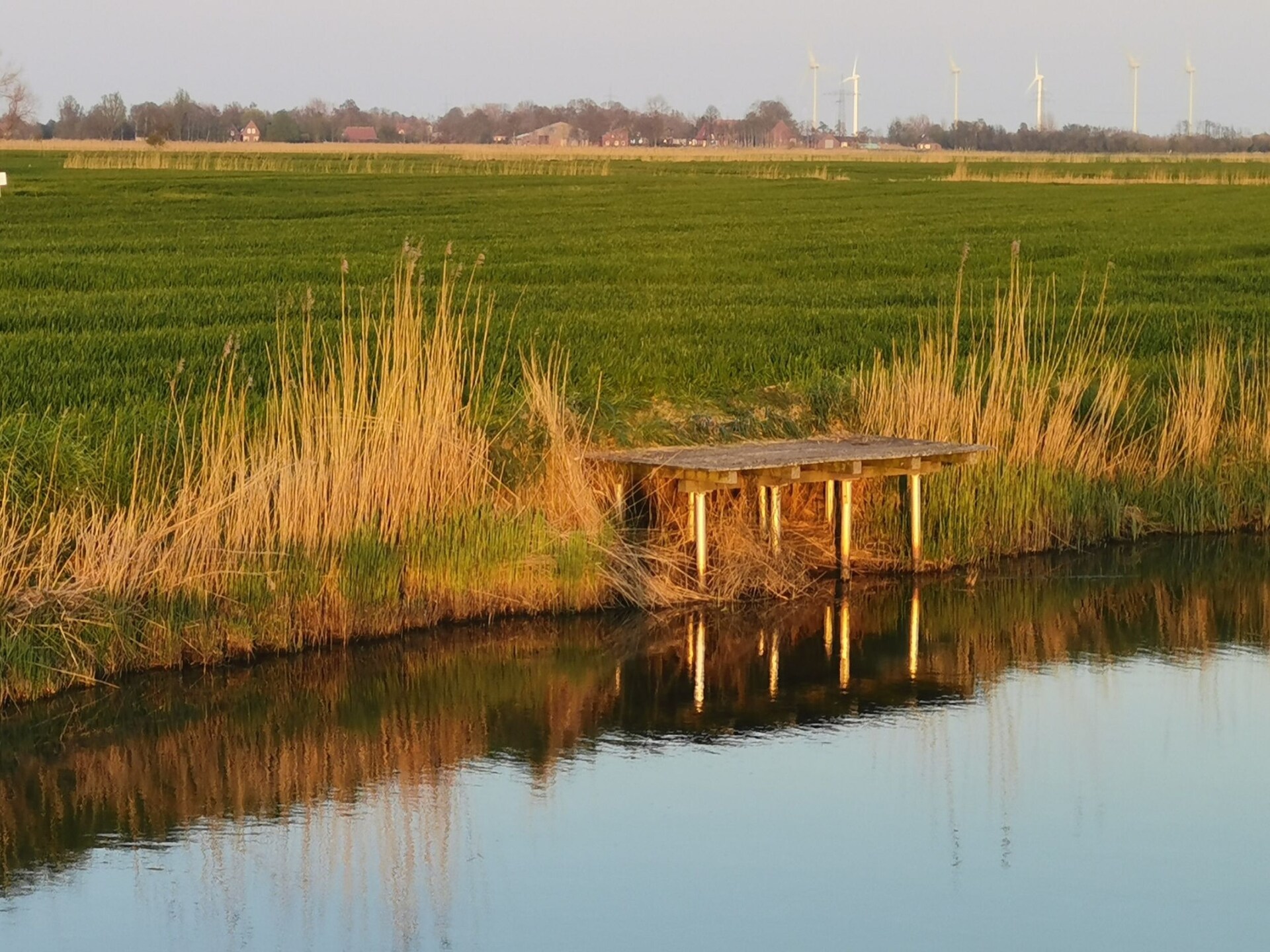 Ruim vakantiehuis met Feldblick in Dornumersiel, 3 km van de Noordzee - foto 23