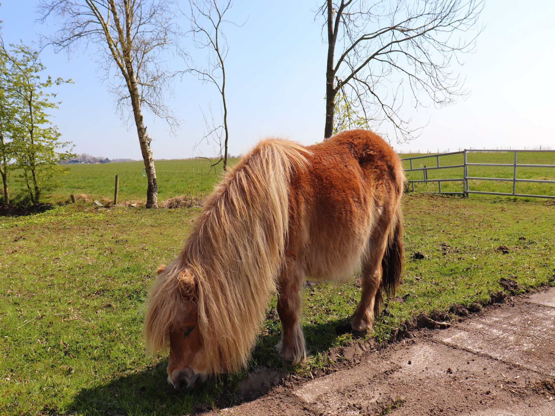 GRUTSK: Luxe boerderijvakantie aan het water in Friesland - foto 28