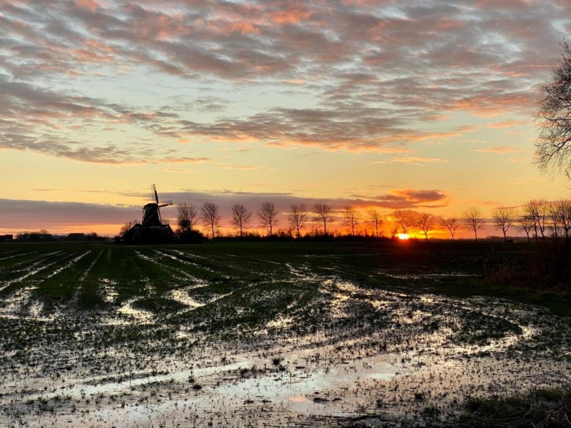 GRUTSK: Luxe boerderijvakantie aan het water in Friesland - foto 37