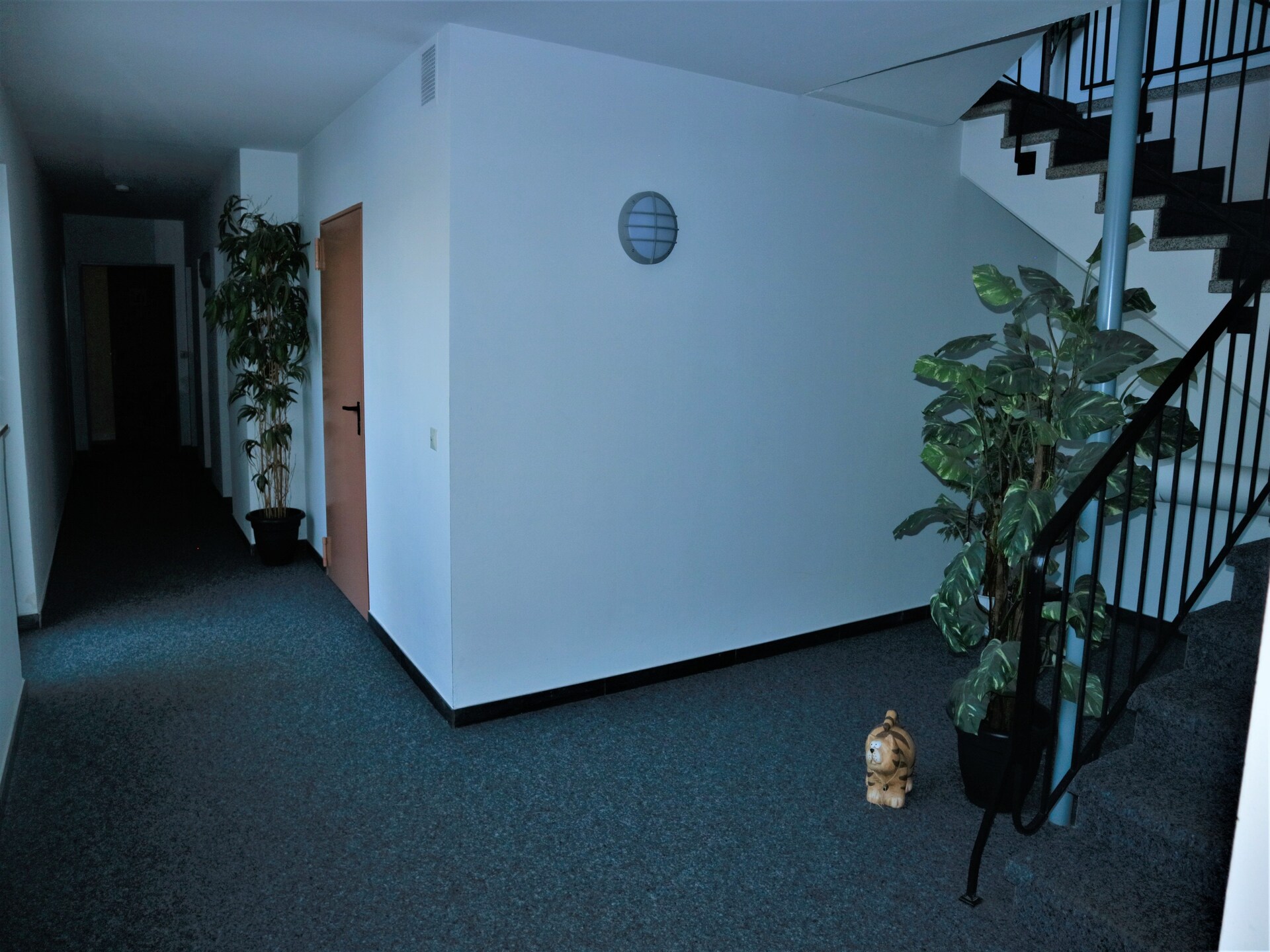 Appartement Flora in Winterberg: 8 pers., vlakbij centrum & skilift - foto 10