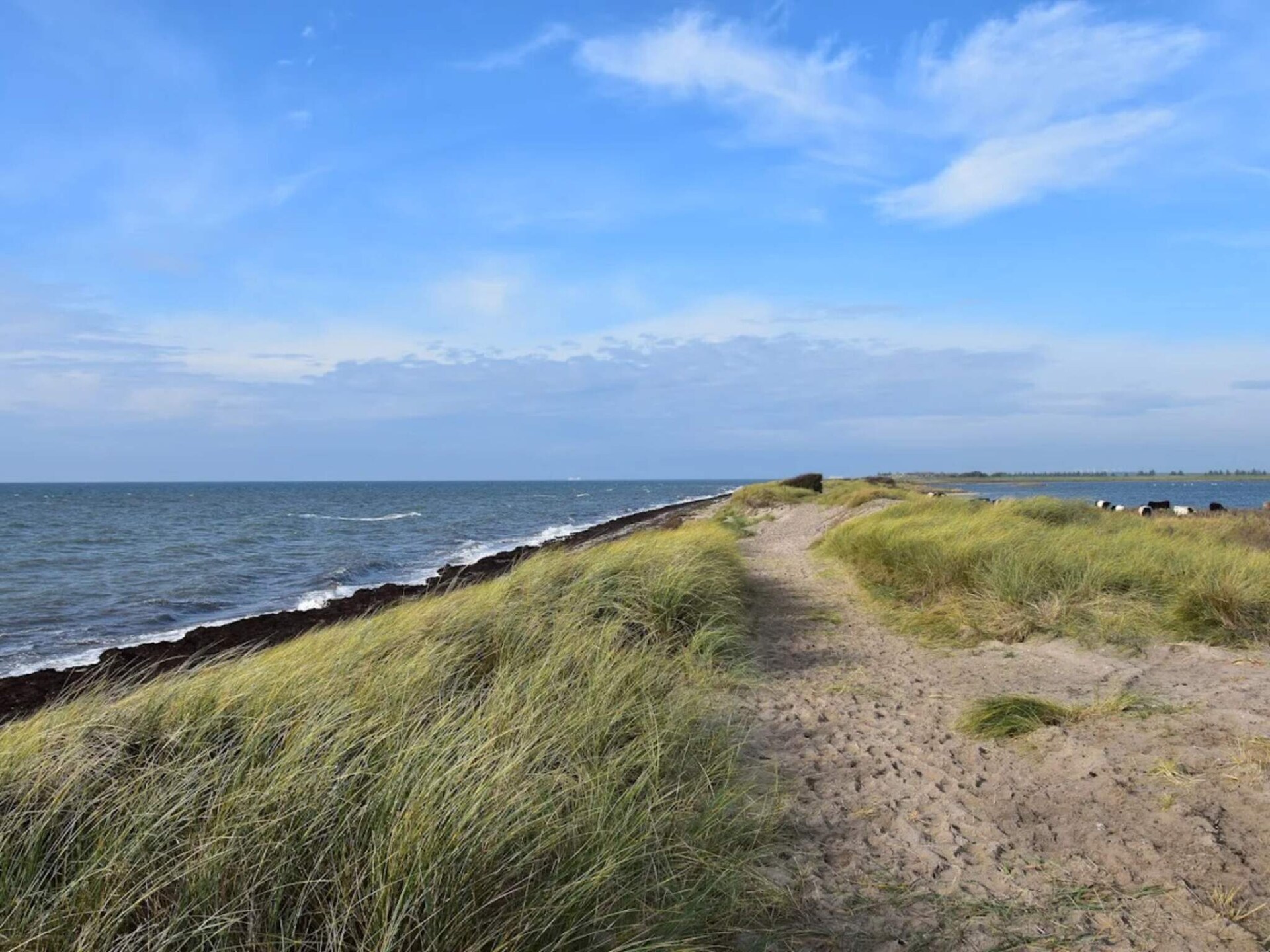 6-persoons vakantiehuis in Dannemare op 500 meter van zee - foto 26