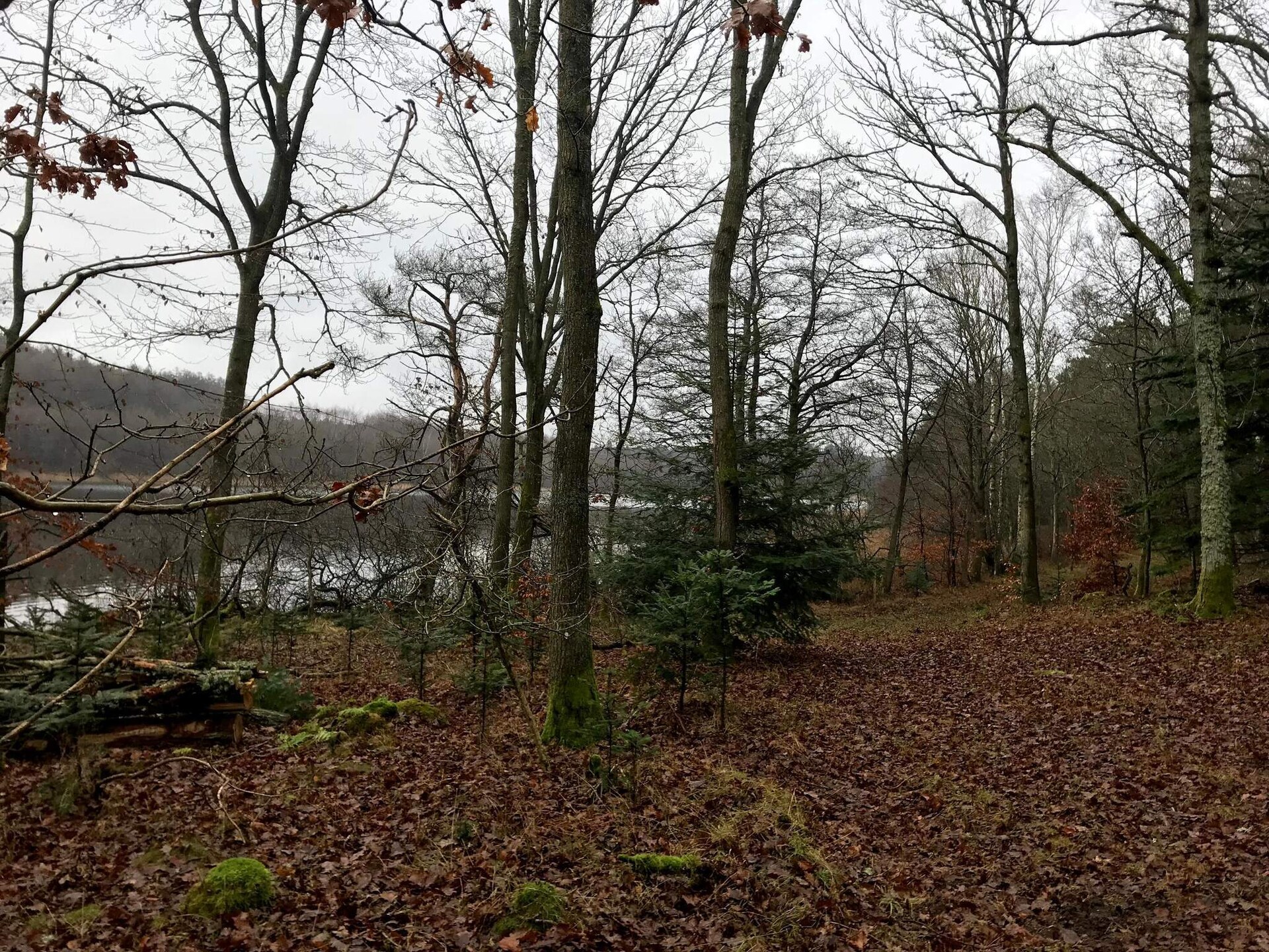 Vrijstaand natuurhuis met grote tuin en aparte slaapaanbouw nabij Ebeltoft - foto 13