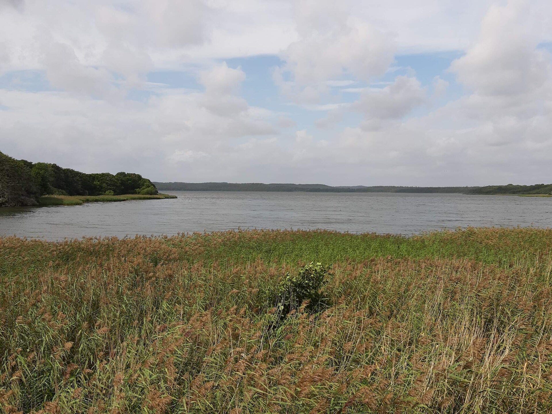 Vrijstaand natuurhuis met grote tuin en aparte slaapaanbouw nabij Ebeltoft - foto 16