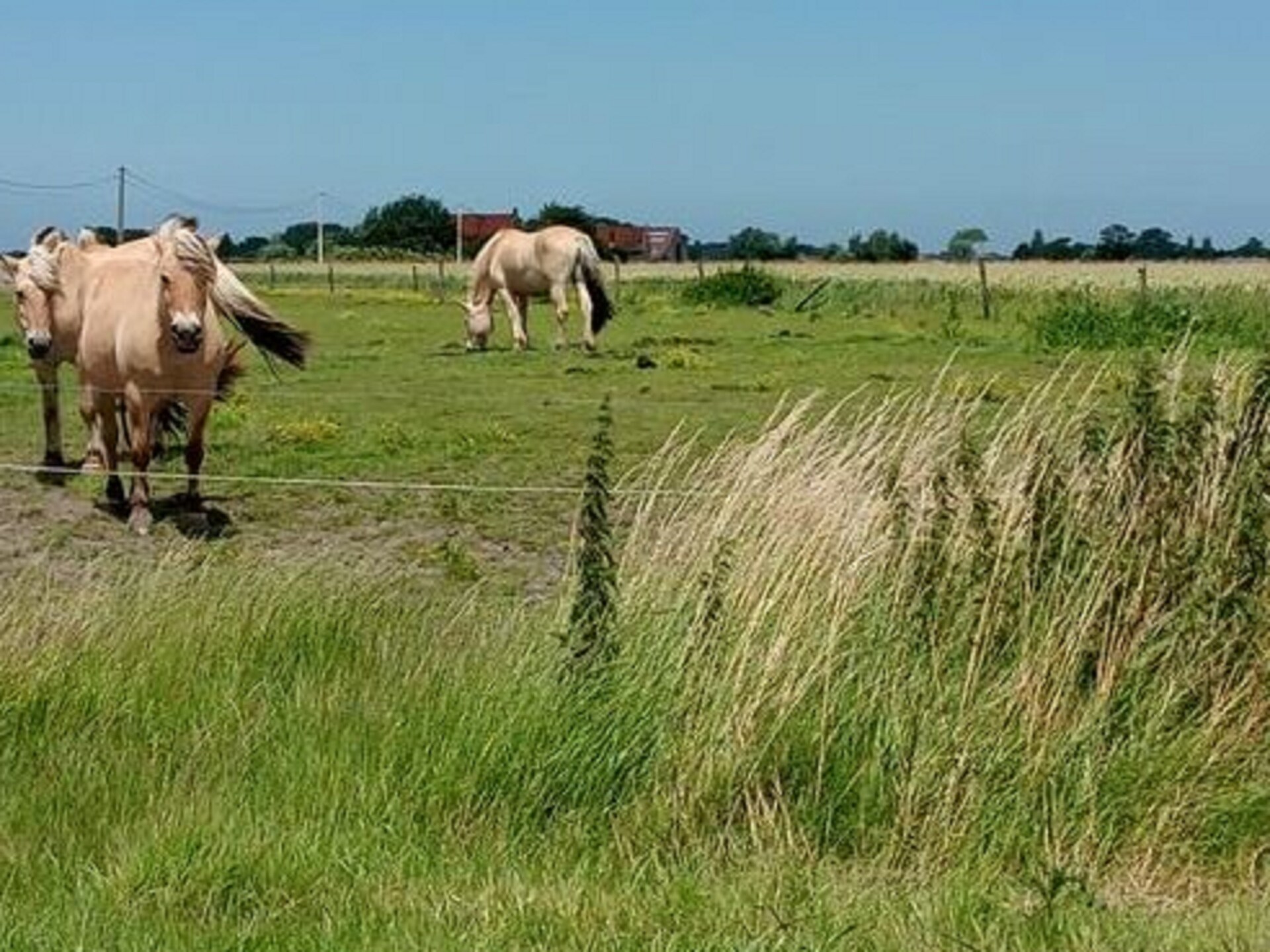 Sunrise Bredene: knus appartement voor 2 bij zee, bos en zwembad - foto 23