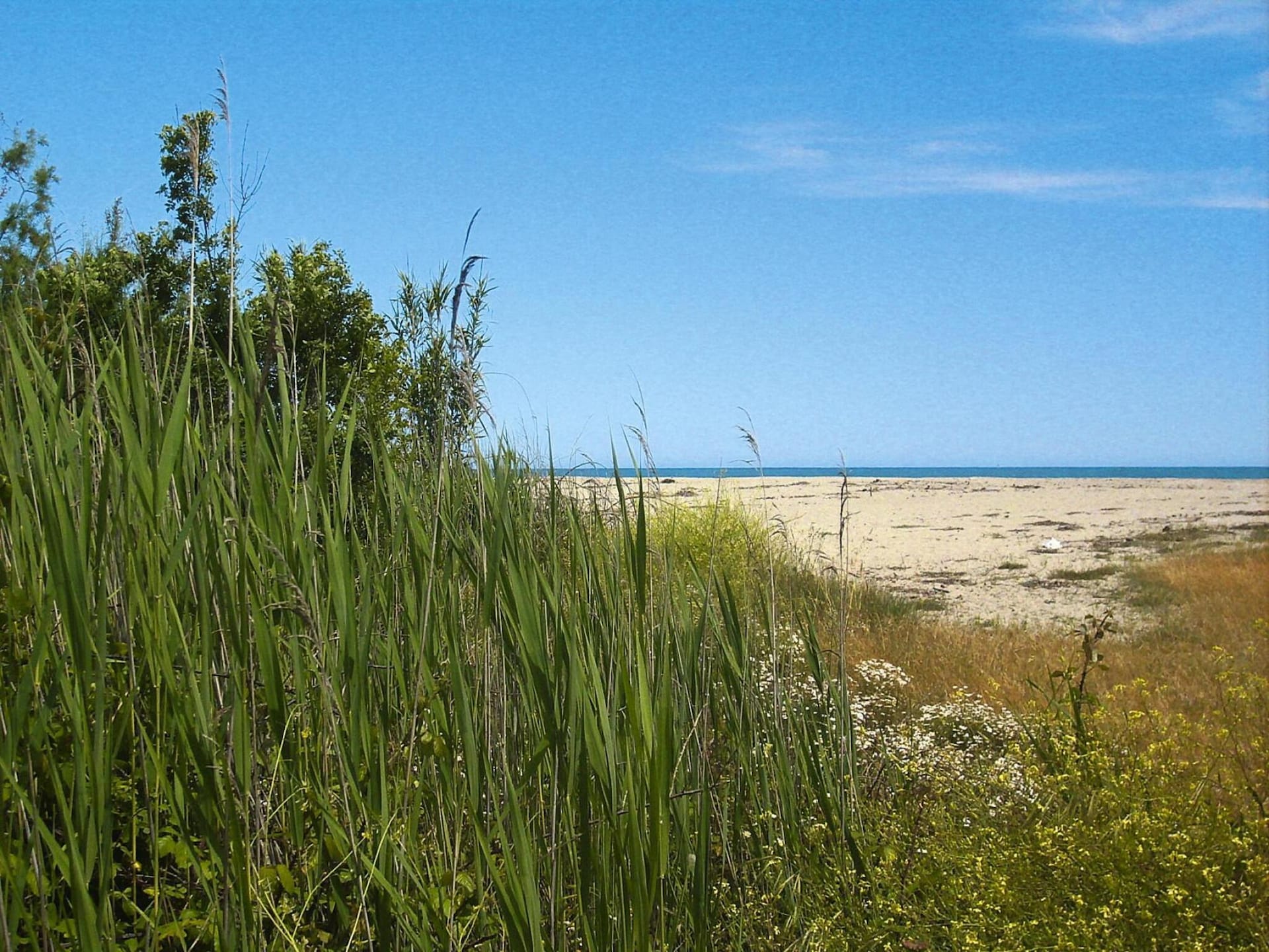 Aan zee: Charmant appartement in Ghisonaccia voor 3 personen - foto 28