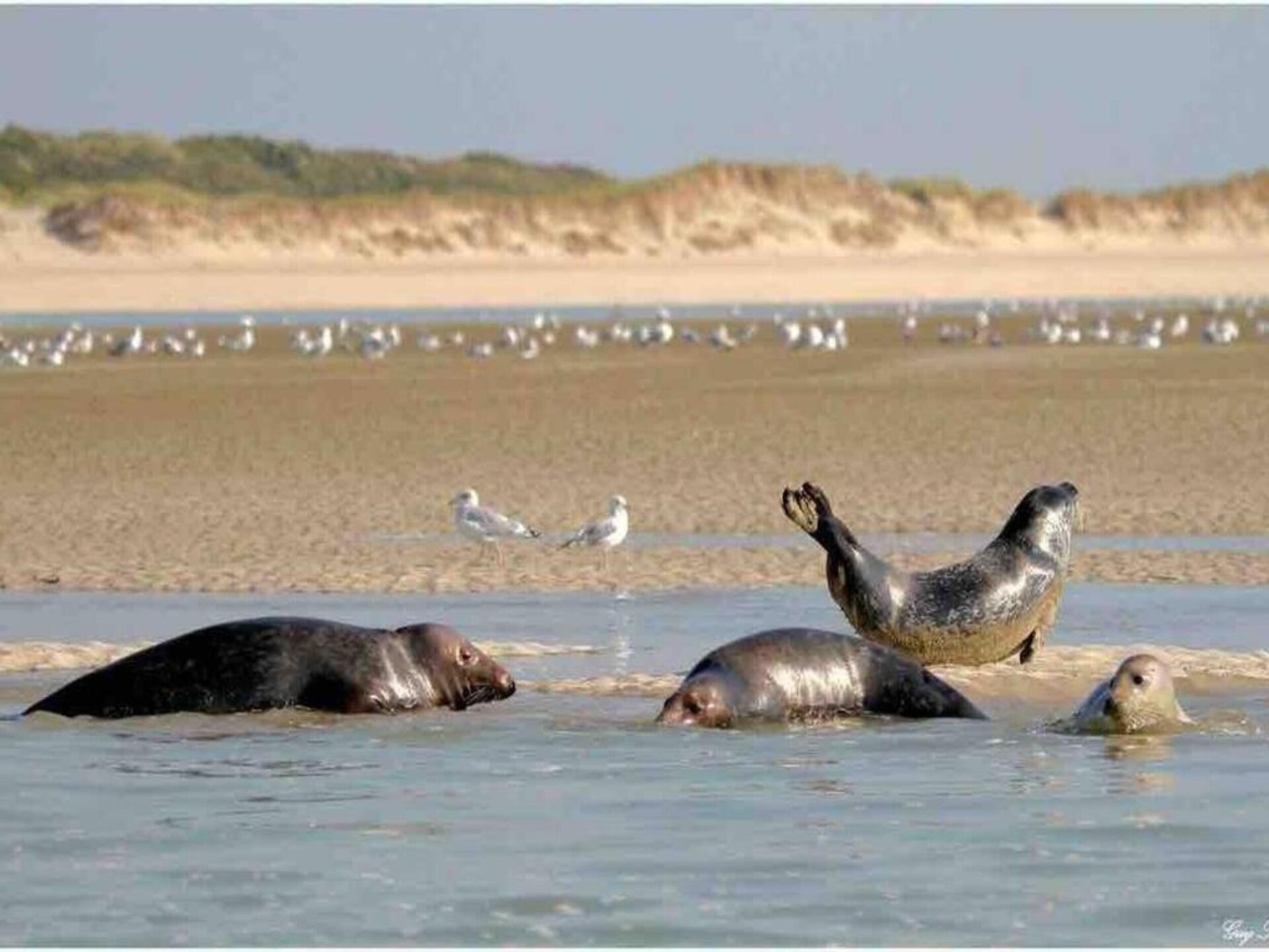 Vrijstaande villa voor 6 met tuin, vlakbij strand Berck-sur-Mer - foto 35