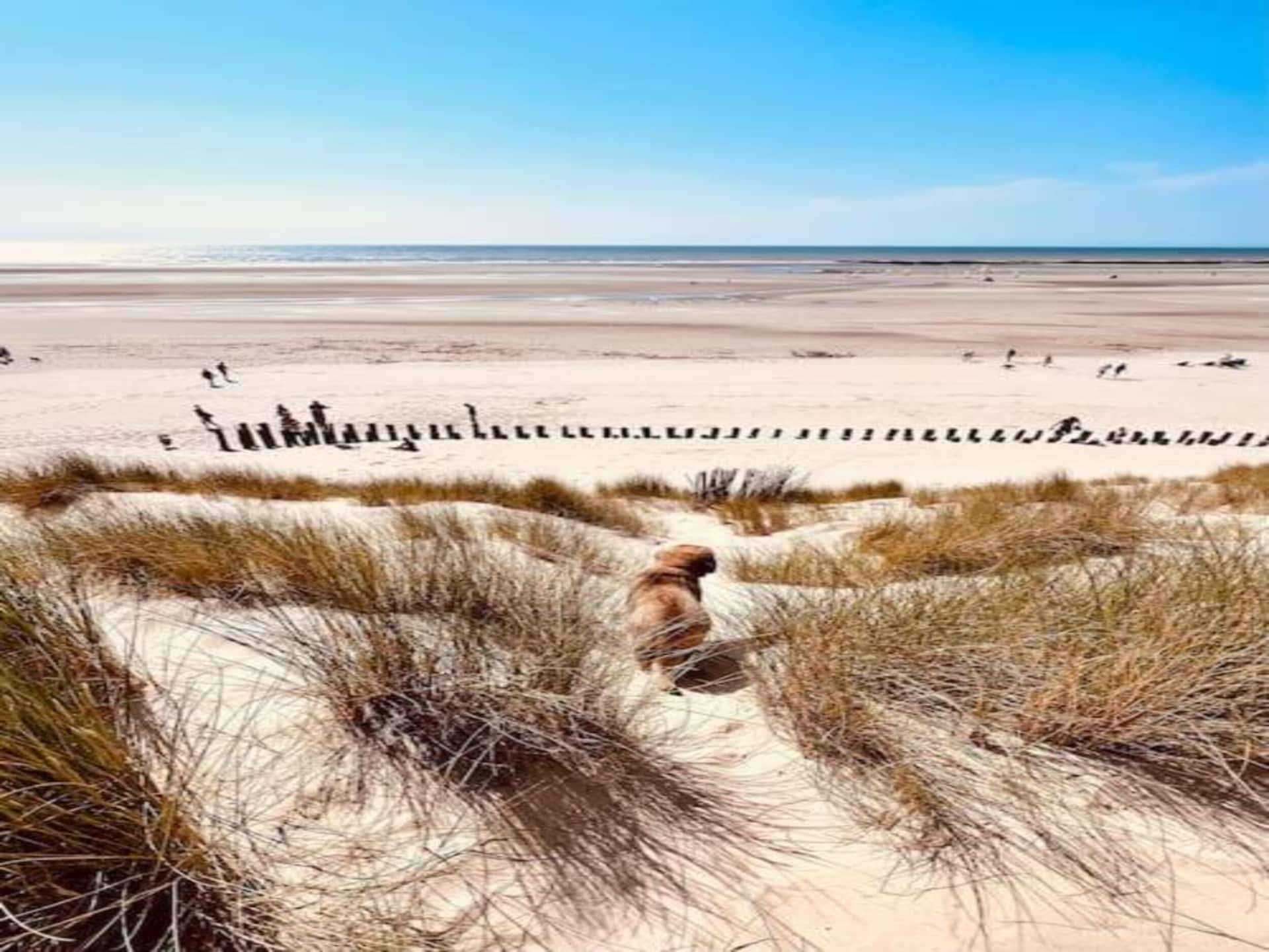Lichte villa voor 8 personen met privétuin in Berck-sur-Mer - foto 38