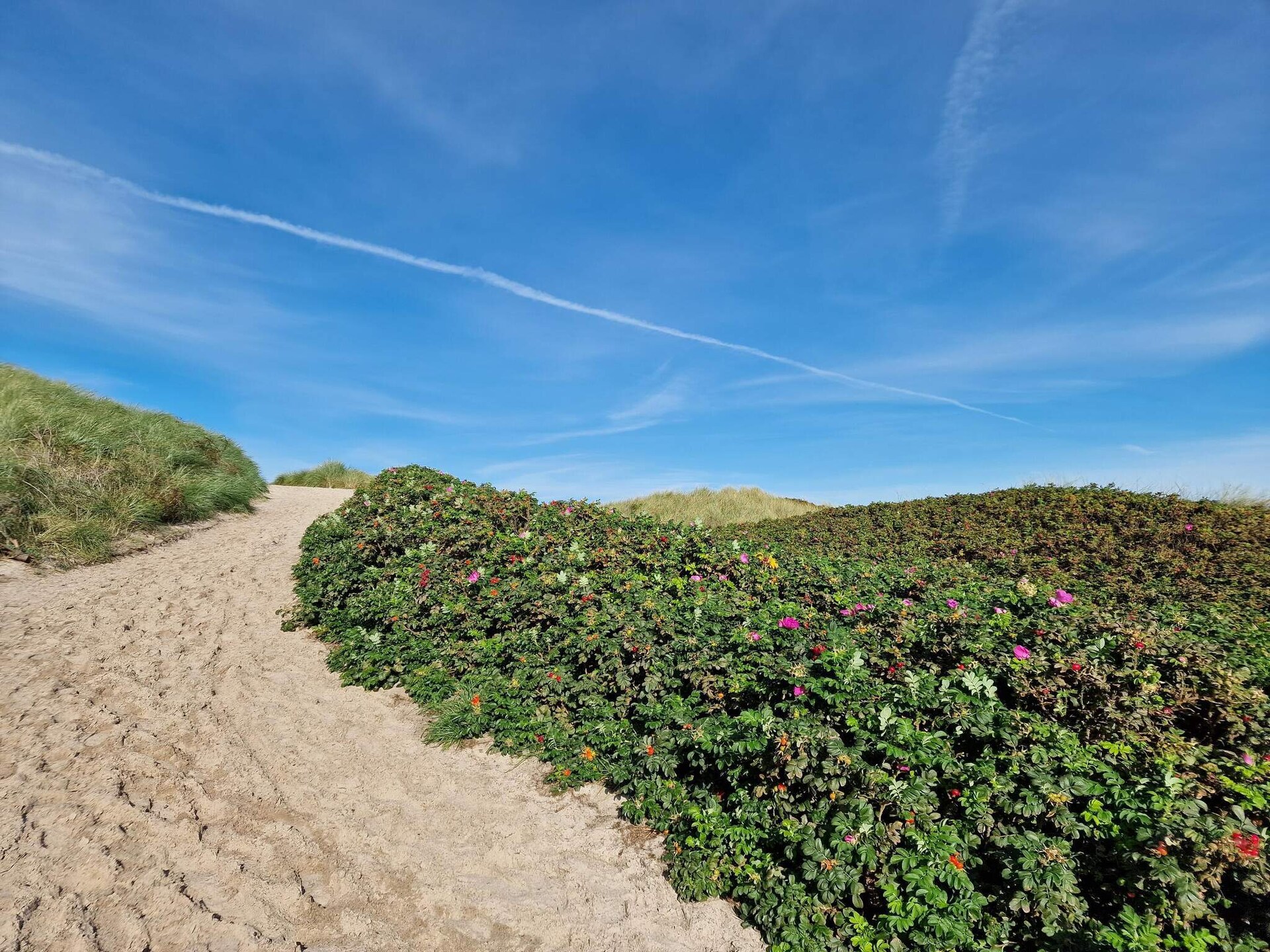 Knus vakantiehuis op 800 meter van de Noordzee in Hvide Sande - foto 4