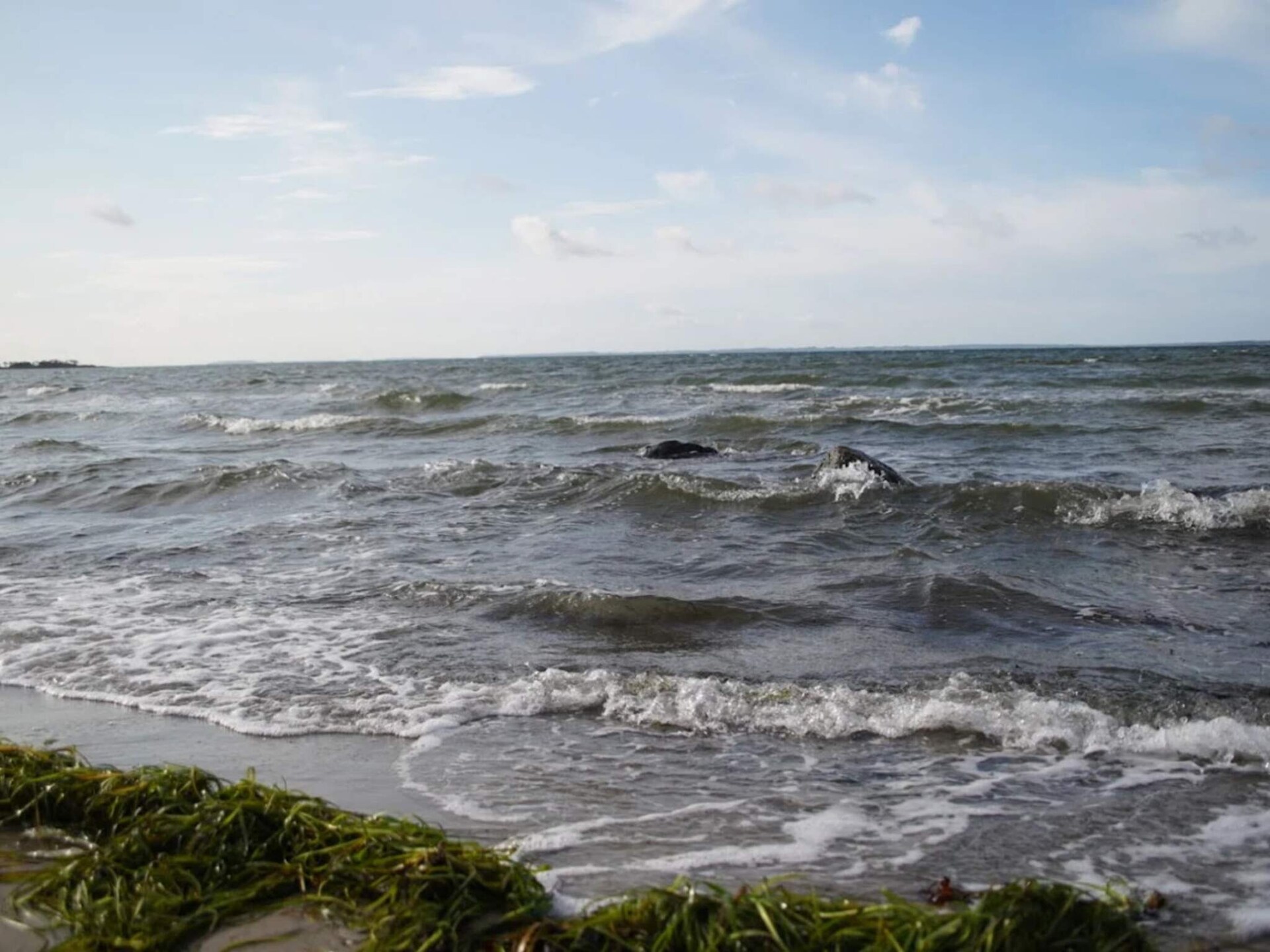 Aan zee: Rustgevend vakantiehuis voor 6 personen in Jægerspris - foto 32