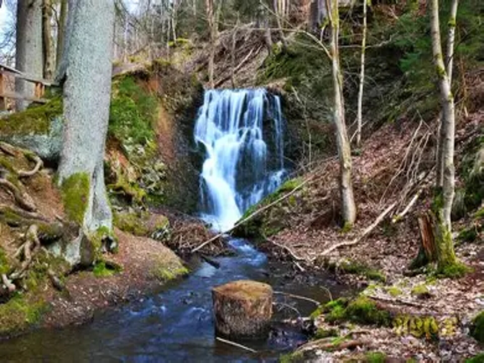 Vrijstaand vakantiehuis aan kabbelende beek in Wieda, Harz - foto 32