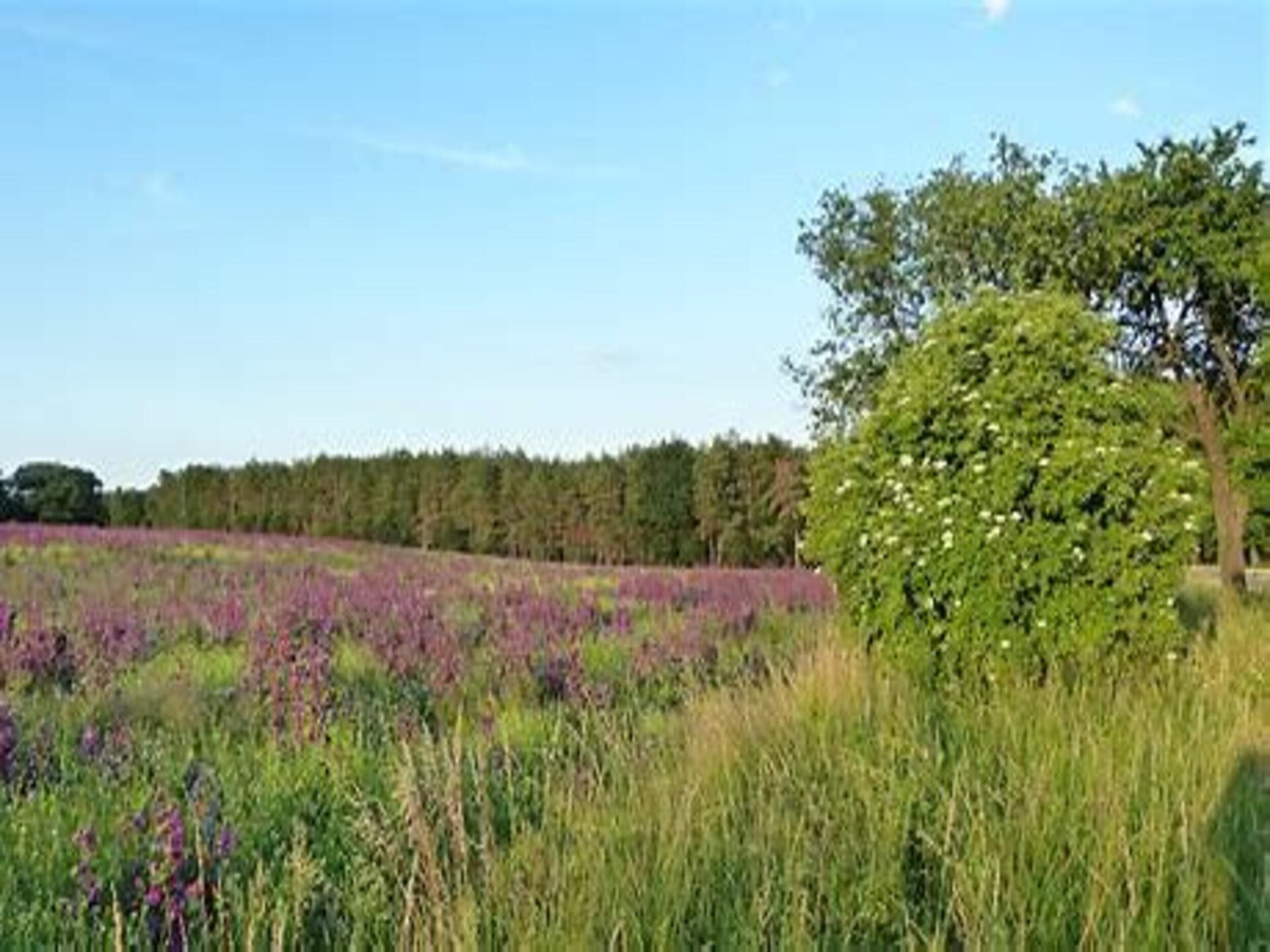 Vrijstaand vakantiehuis aan kabbelende beek in Wieda, Harz - foto 22