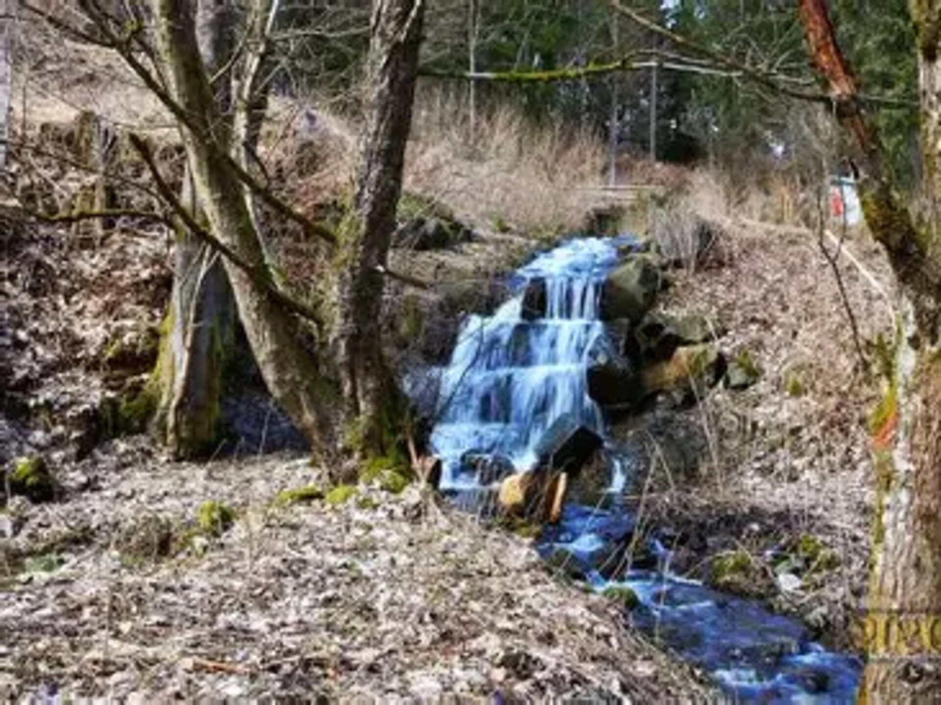 Vrijstaand vakantiehuis aan kabbelende beek in Wieda, Harz - foto 31