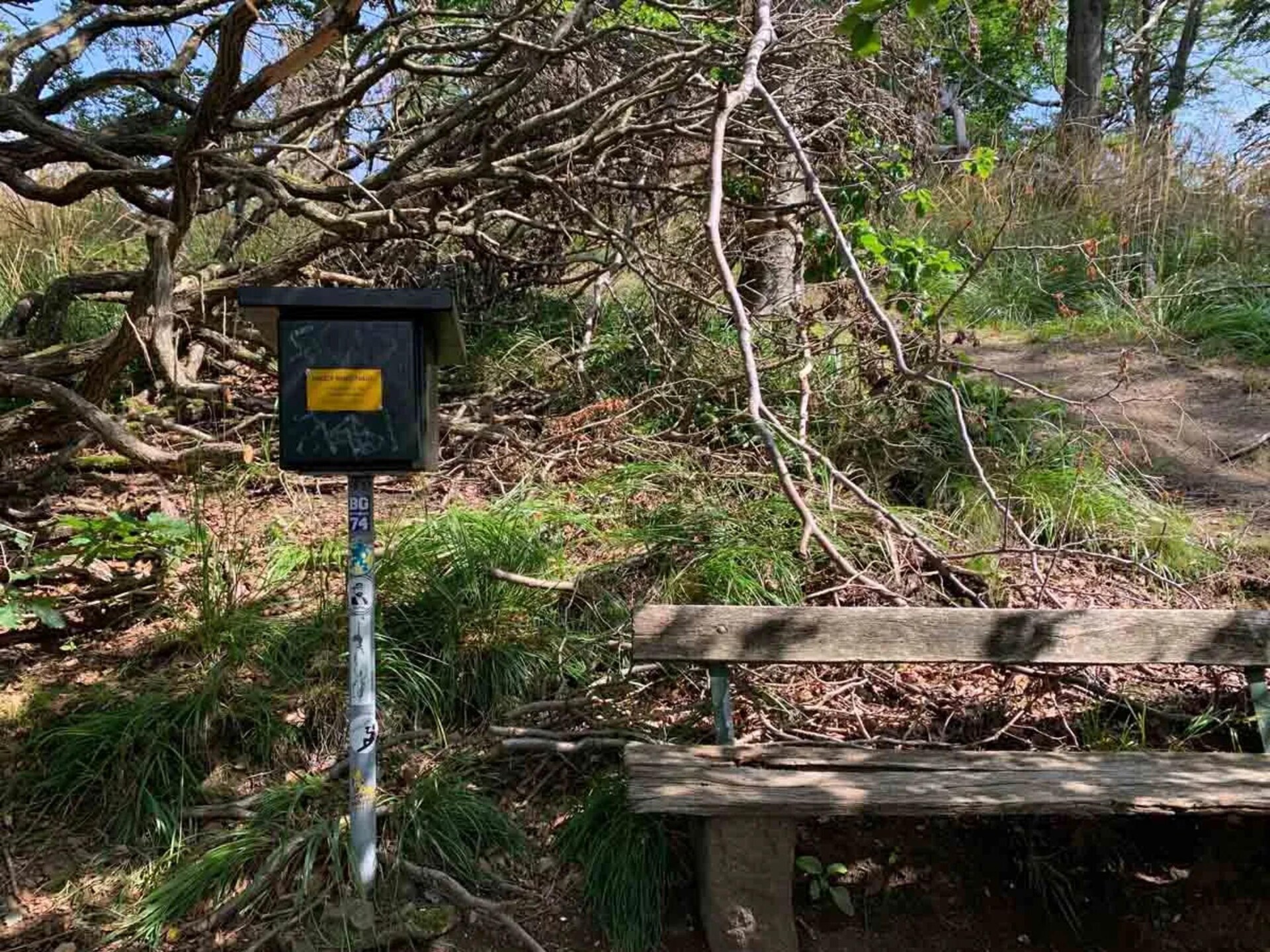 Vrijstaand vakantiehuis aan kabbelende beek in Wieda, Harz - foto 26