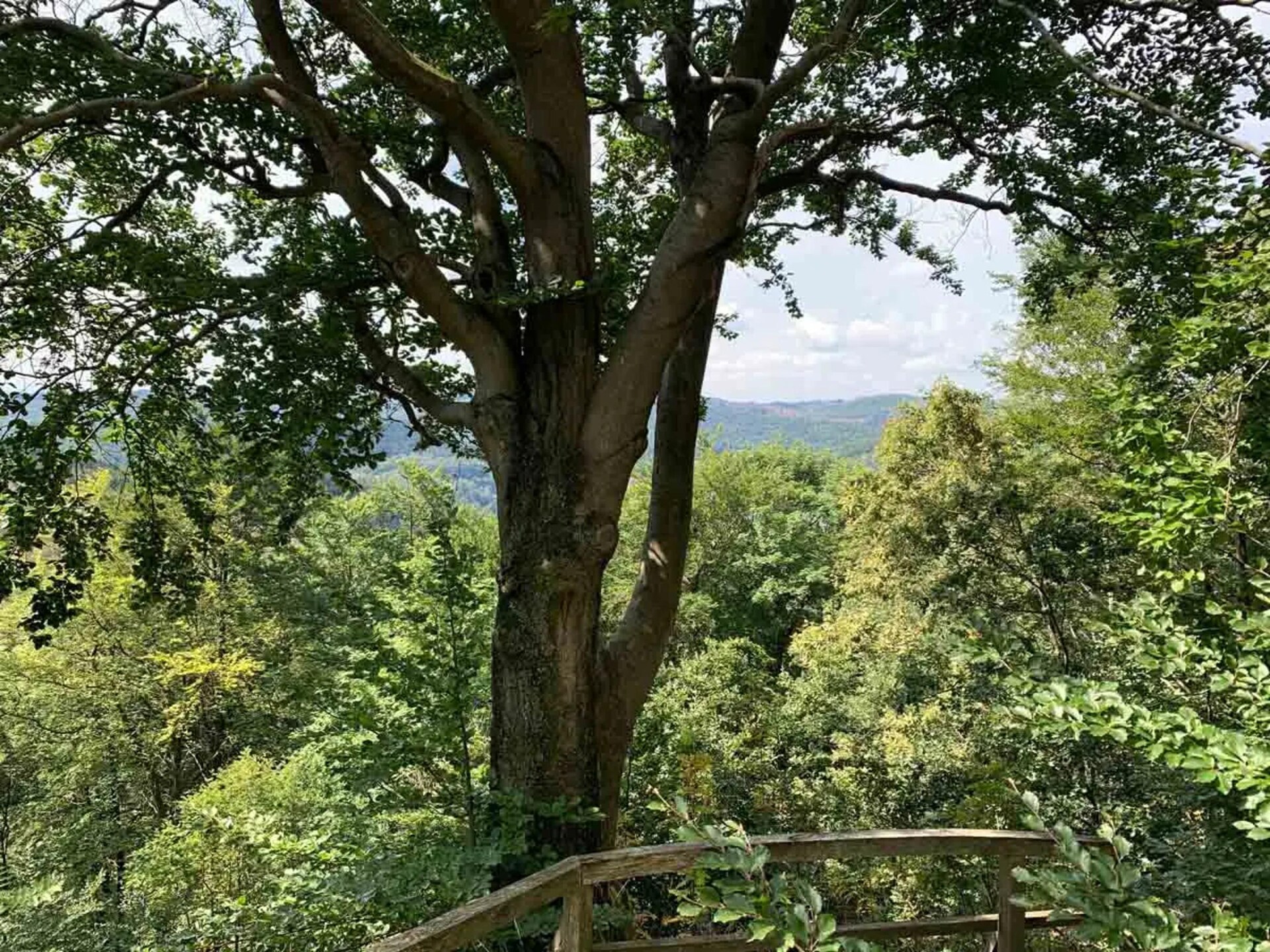 Vrijstaand vakantiehuis aan kabbelende beek in Wieda, Harz - foto 27