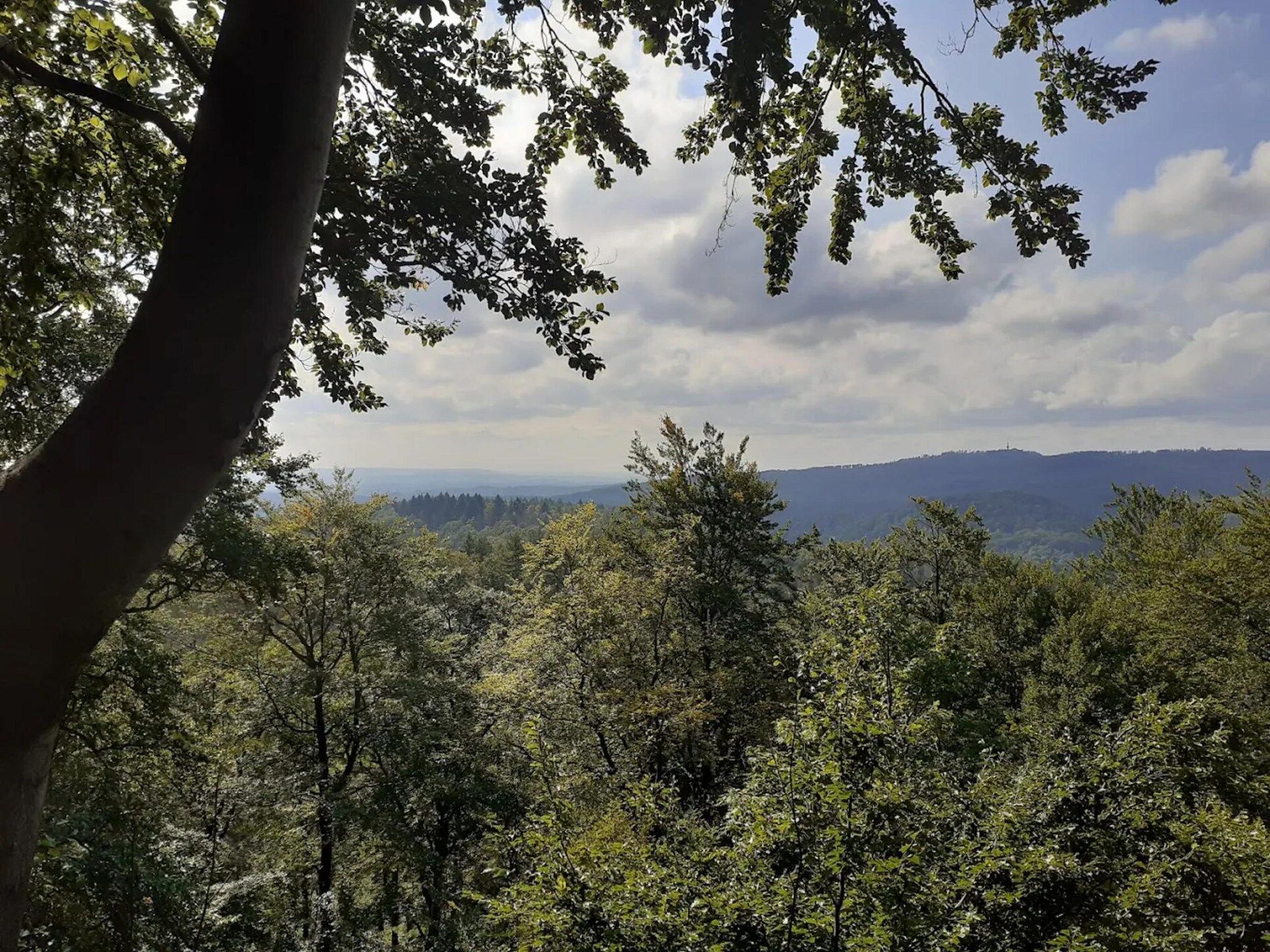Vrijstaand vakantiehuis aan kabbelende beek in Wieda, Harz - foto 29