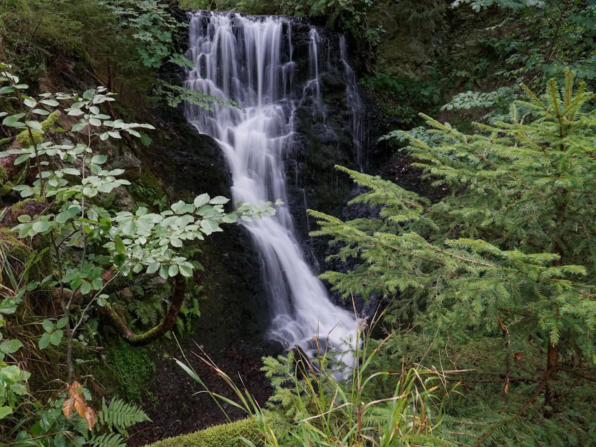Vrijstaand vakantiehuis aan kabbelende beek in Wieda, Harz - foto 36