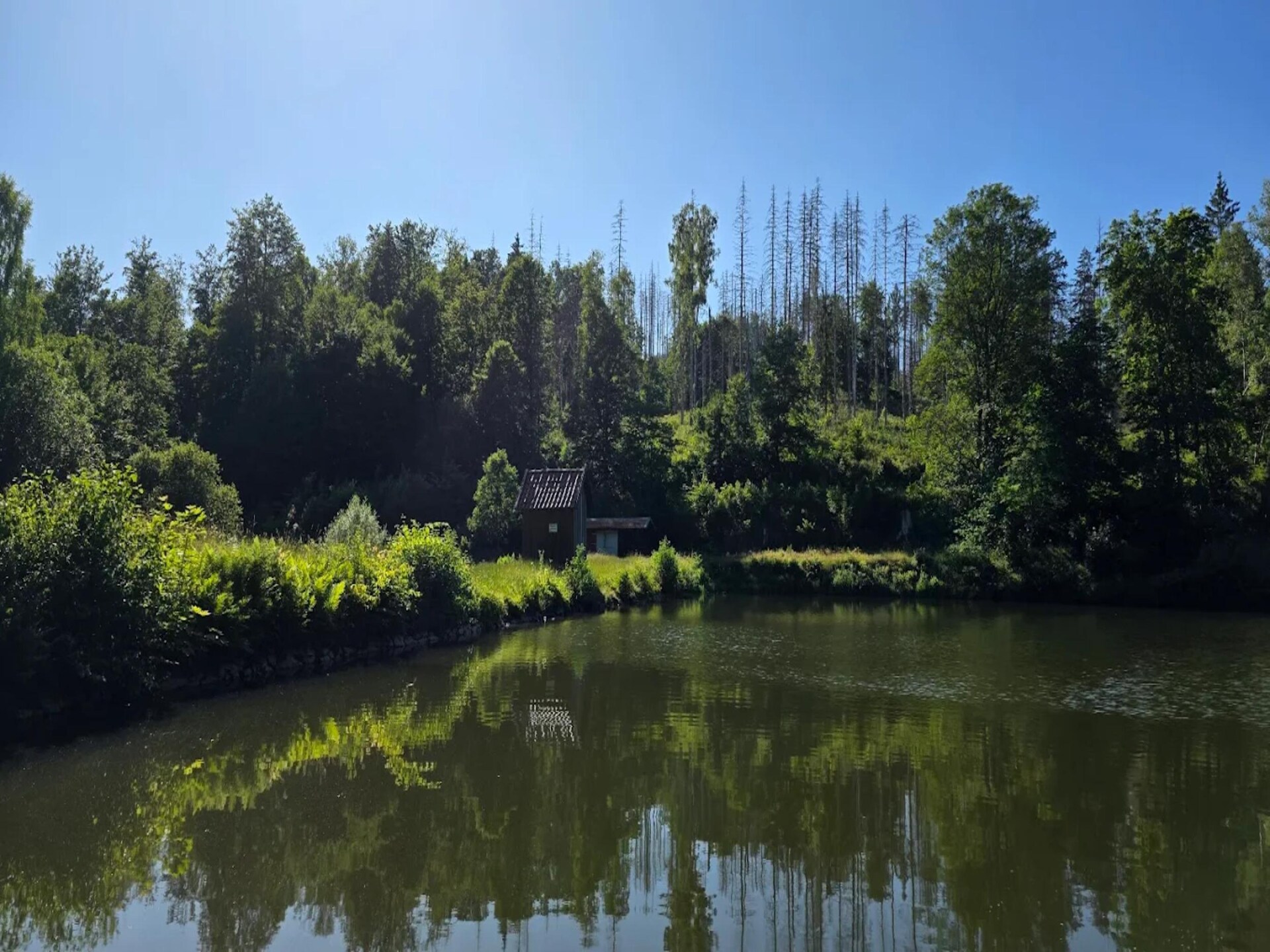 Vrijstaand vakantiehuis aan kabbelende beek in Wieda, Harz - foto 40