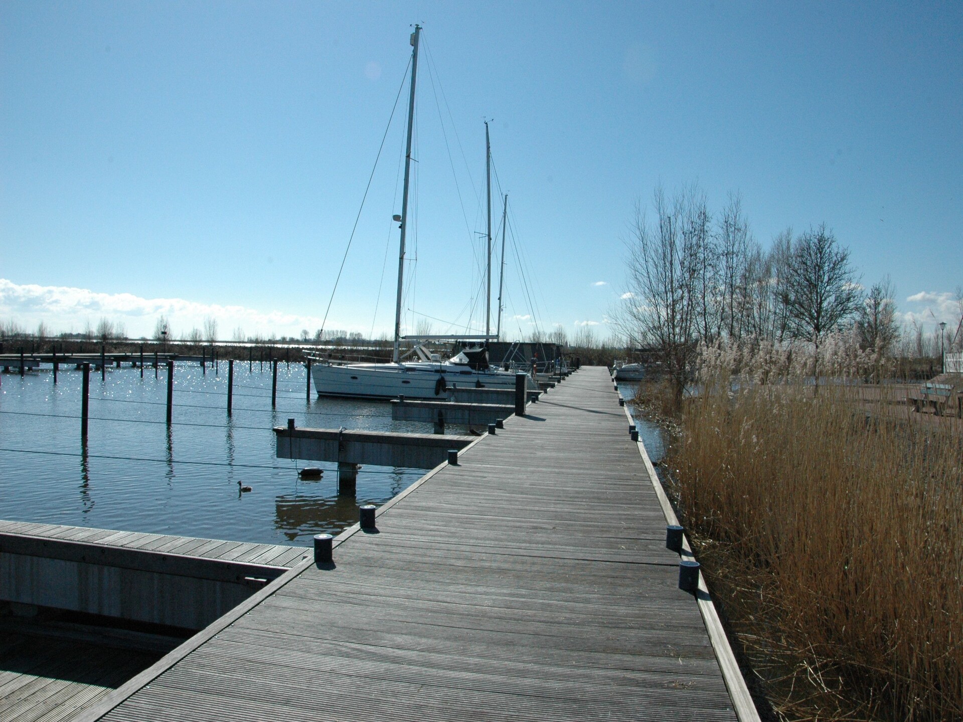 Unieke woonboot in Volendam: slapen op het water met huisdier - foto 23