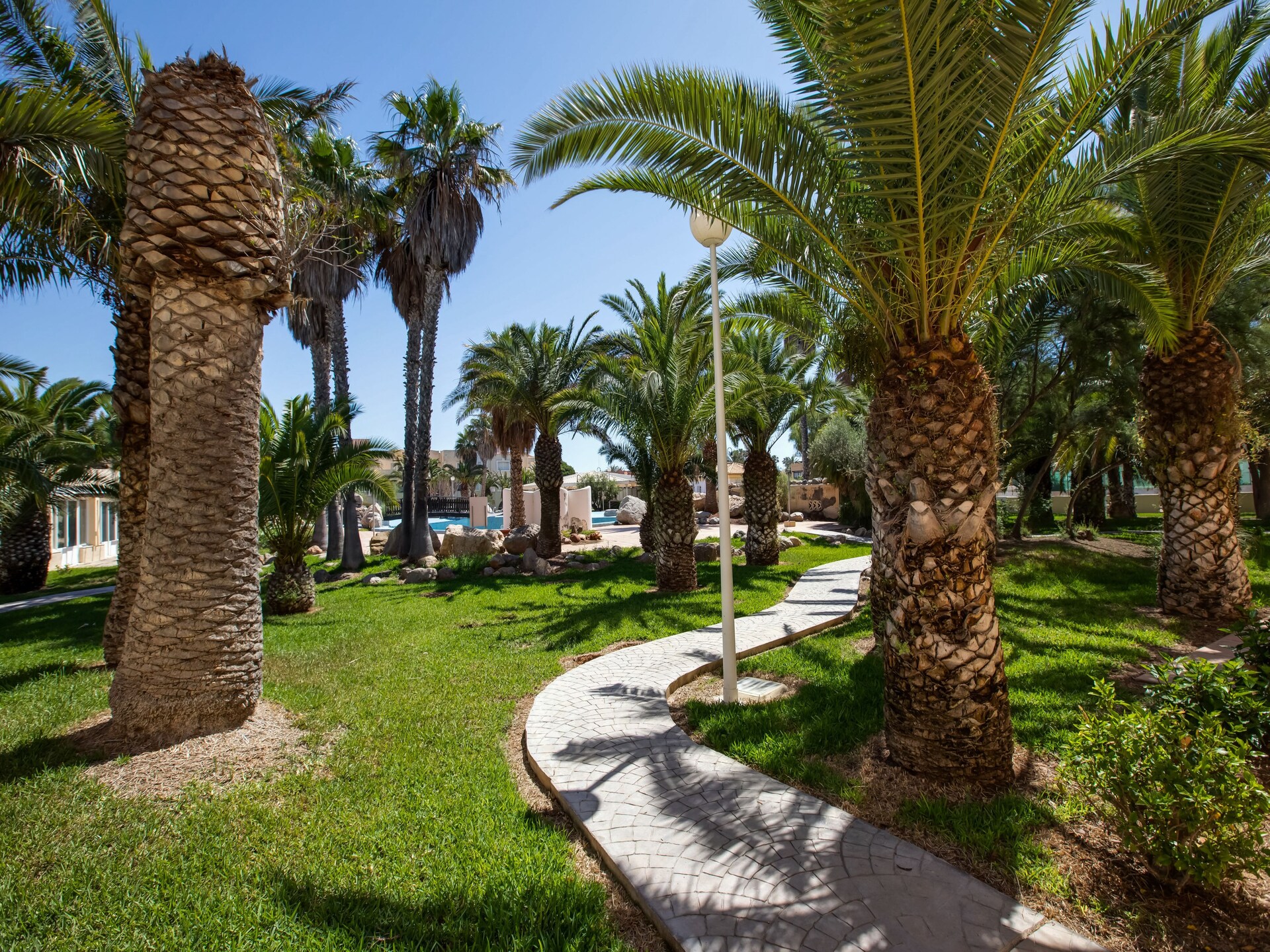Macael Bajo 203: licht appartement op begane grond op 400m van het strand - foto 20