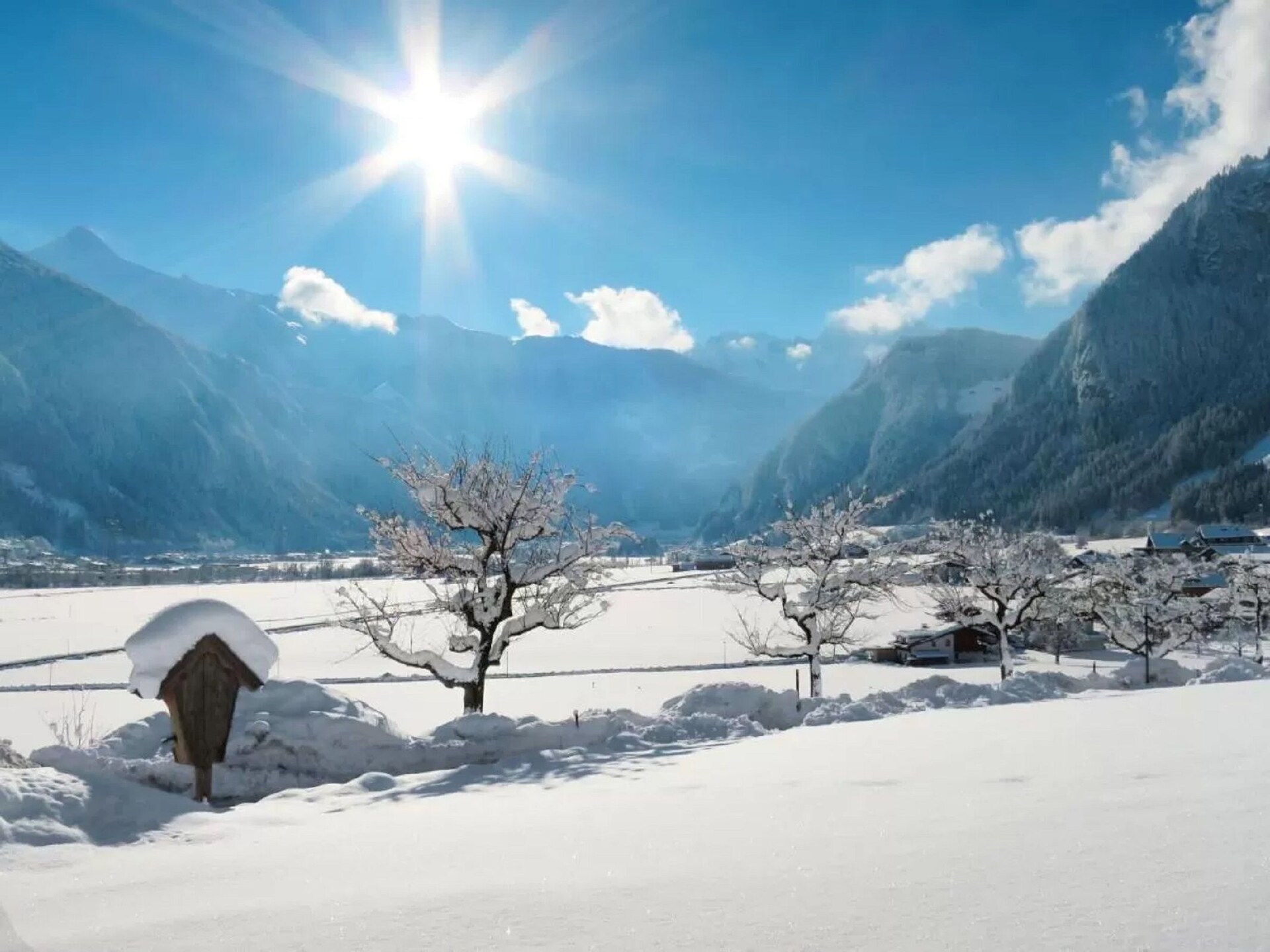 Op 300 m van de piste: appartement in Ramsau voor 4 personen - foto 37