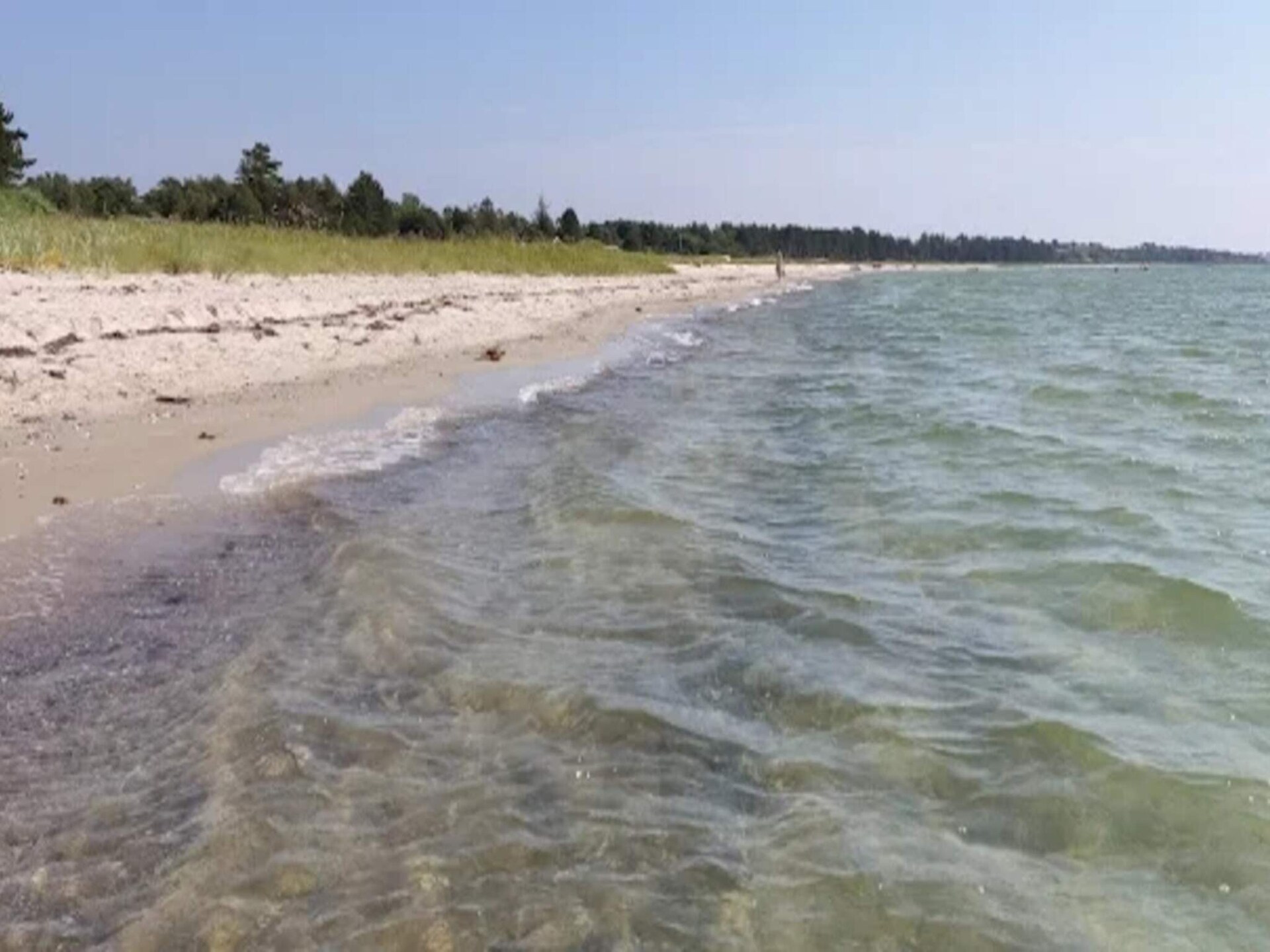 Vrijstaand vakantiehuis bij Begtrup Vig – 300m van zee, hond welkom - foto 10