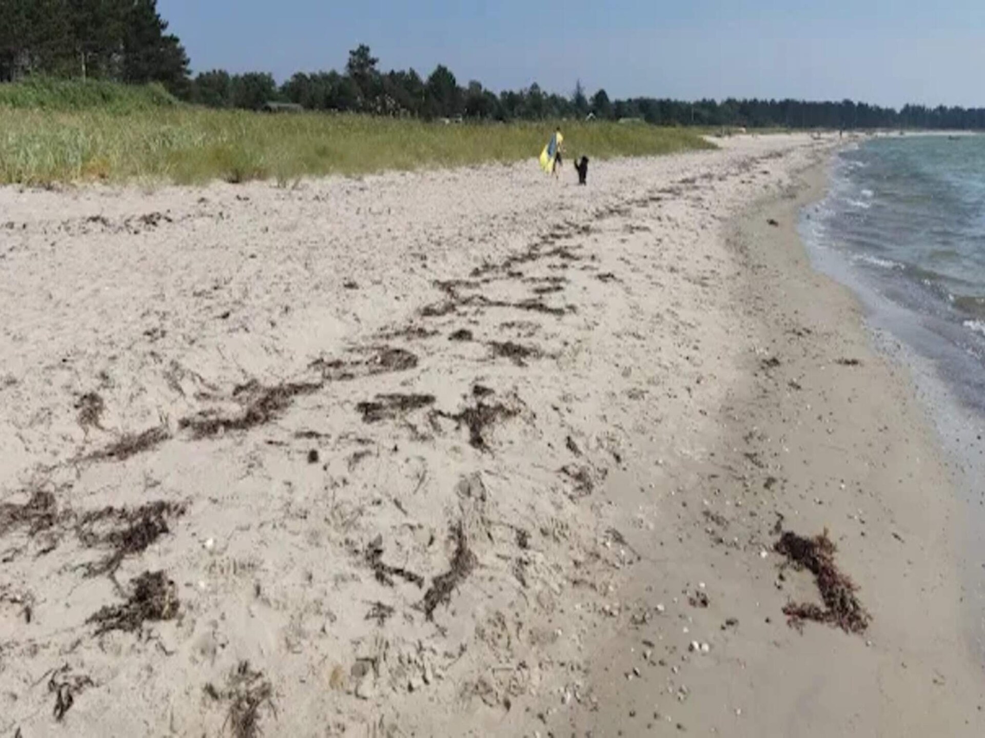 Vrijstaand vakantiehuis bij Begtrup Vig – 300m van zee, hond welkom - foto 11