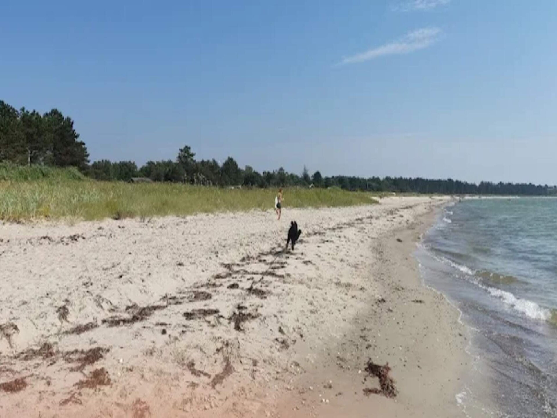 Vrijstaand vakantiehuis bij Begtrup Vig – 300m van zee, hond welkom - foto 12