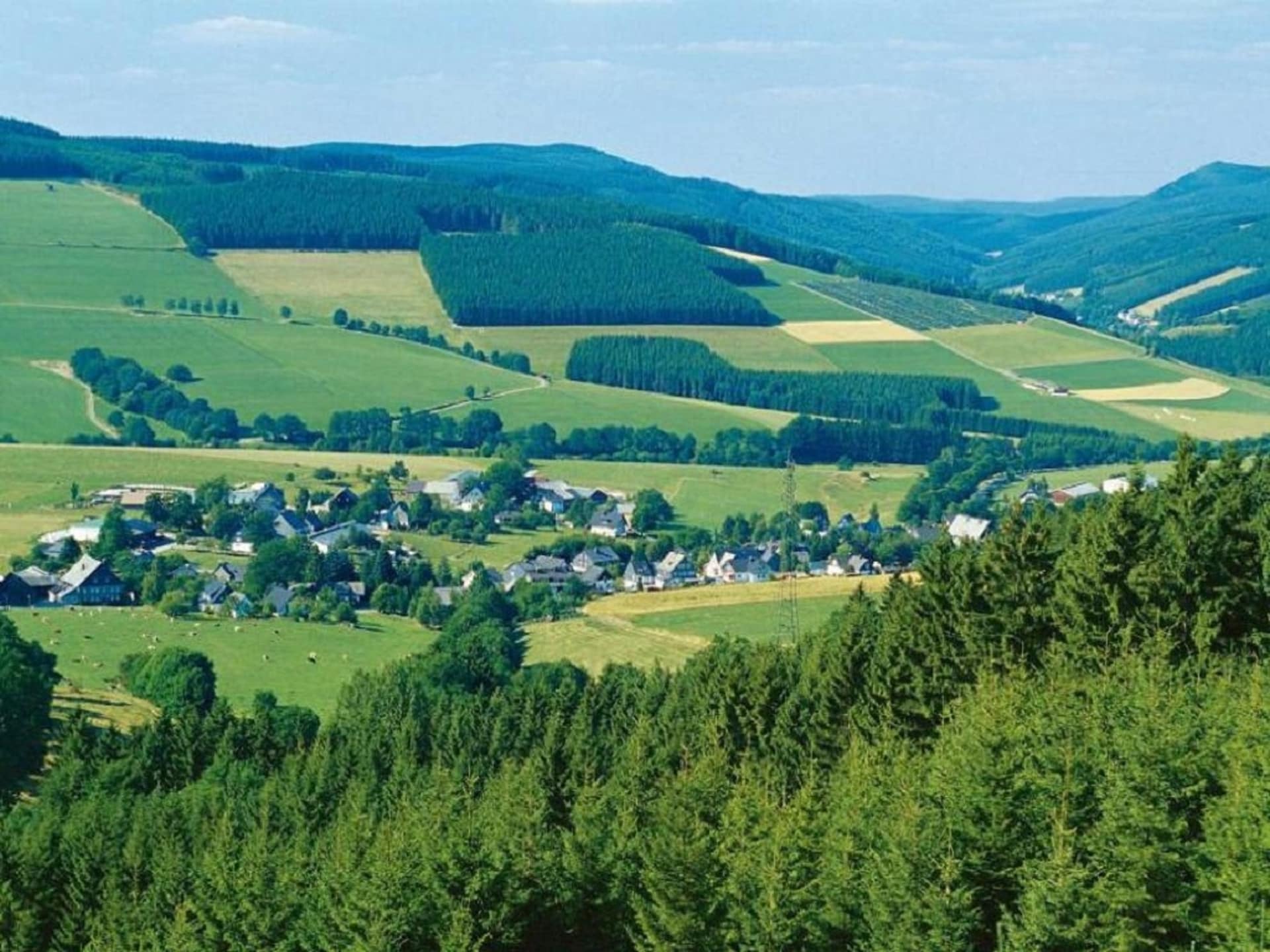 5-persoons appartement in Winterberg nabij de piste - foto 30