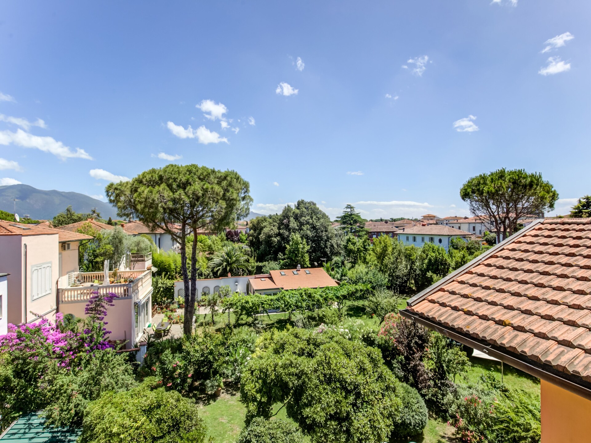 Villa Lazzarino: Elegant familiehuis met tuin op loopafstand van de Scheve Toren - foto 31