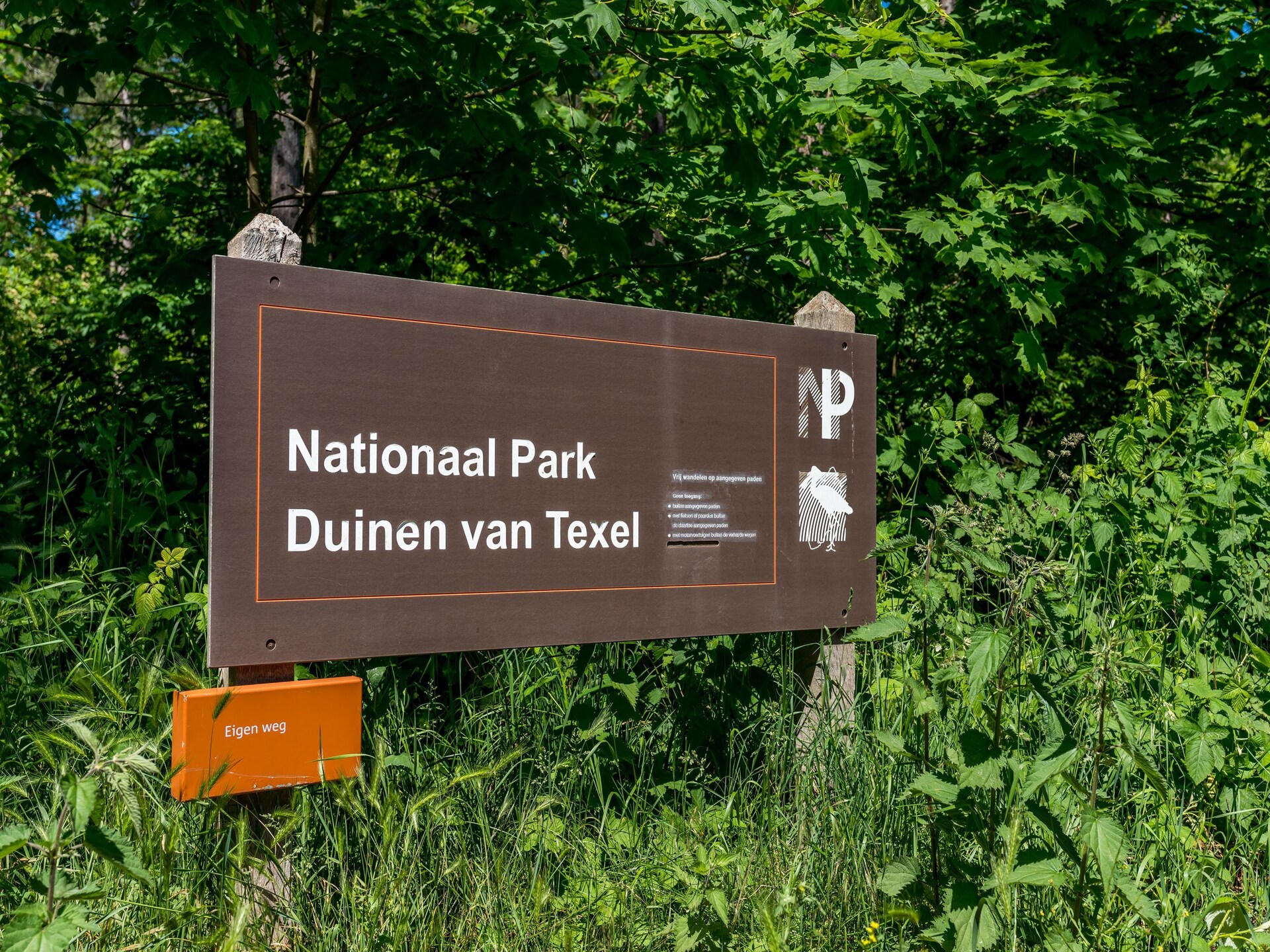 Wellnessvilla De Grauwe Kiekendief: luxe ontspanning in Nationaal Park Duinen van Texel - foto 19