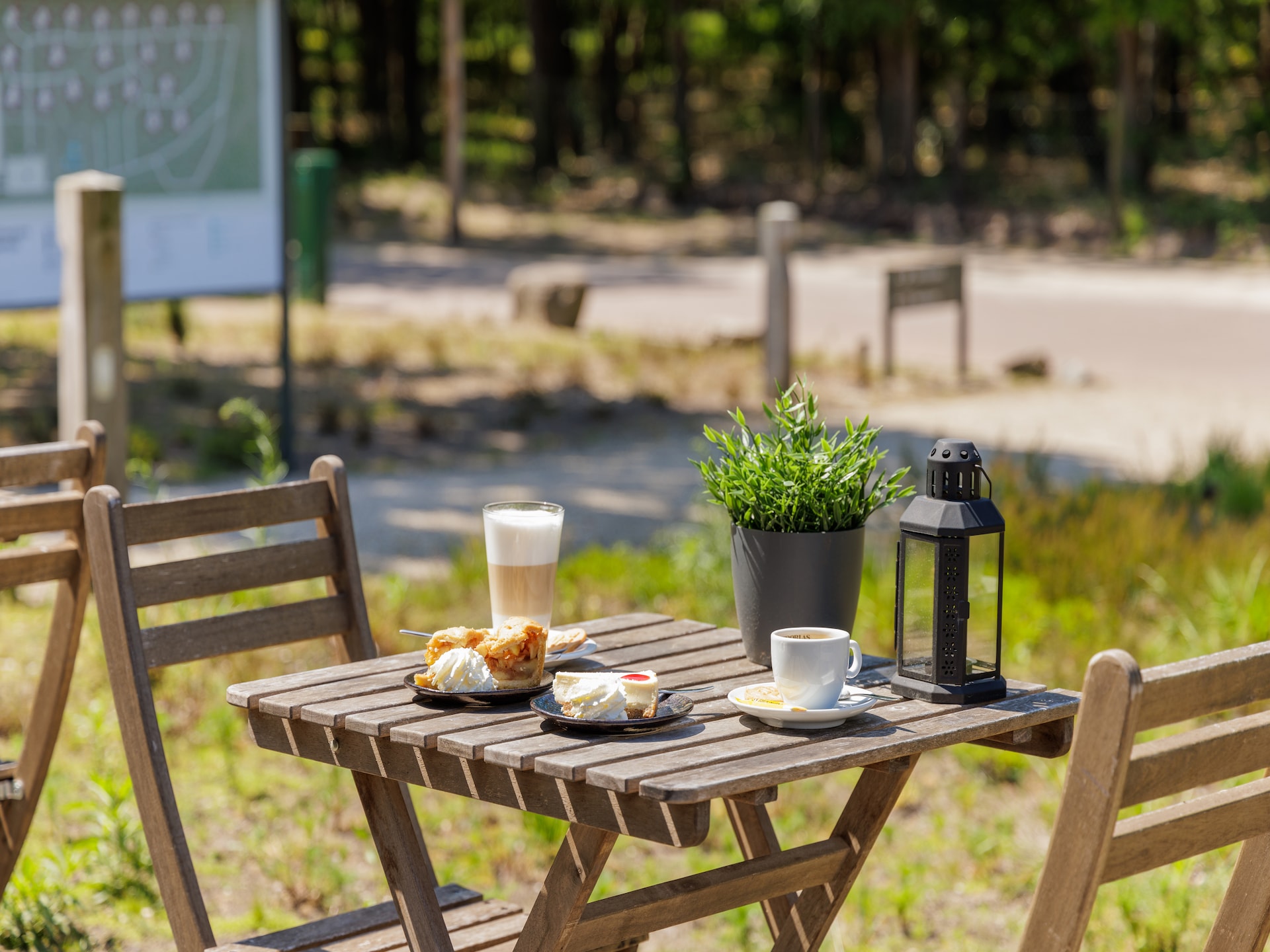 Vrijstaande bosvilla voor 7 personen op de Veluwe met hond toegestaan - foto 23