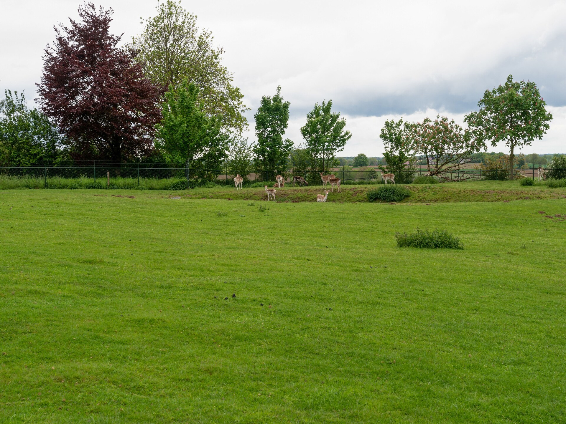 Valleyview Cottages NR03: Landhuis met panorama in Limburgs Heuvelland - foto 29