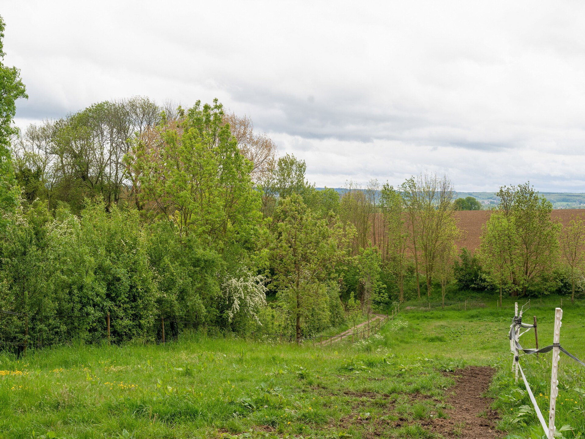 Valleyview Cottages NR03: Landhuis met panorama in Limburgs Heuvelland - foto 28