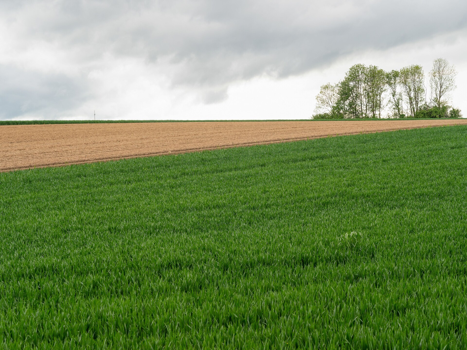 Valleyview Cottages NR15: Landhuis met panoramisch uitzicht in het Limburgse Heuvelland - foto 33