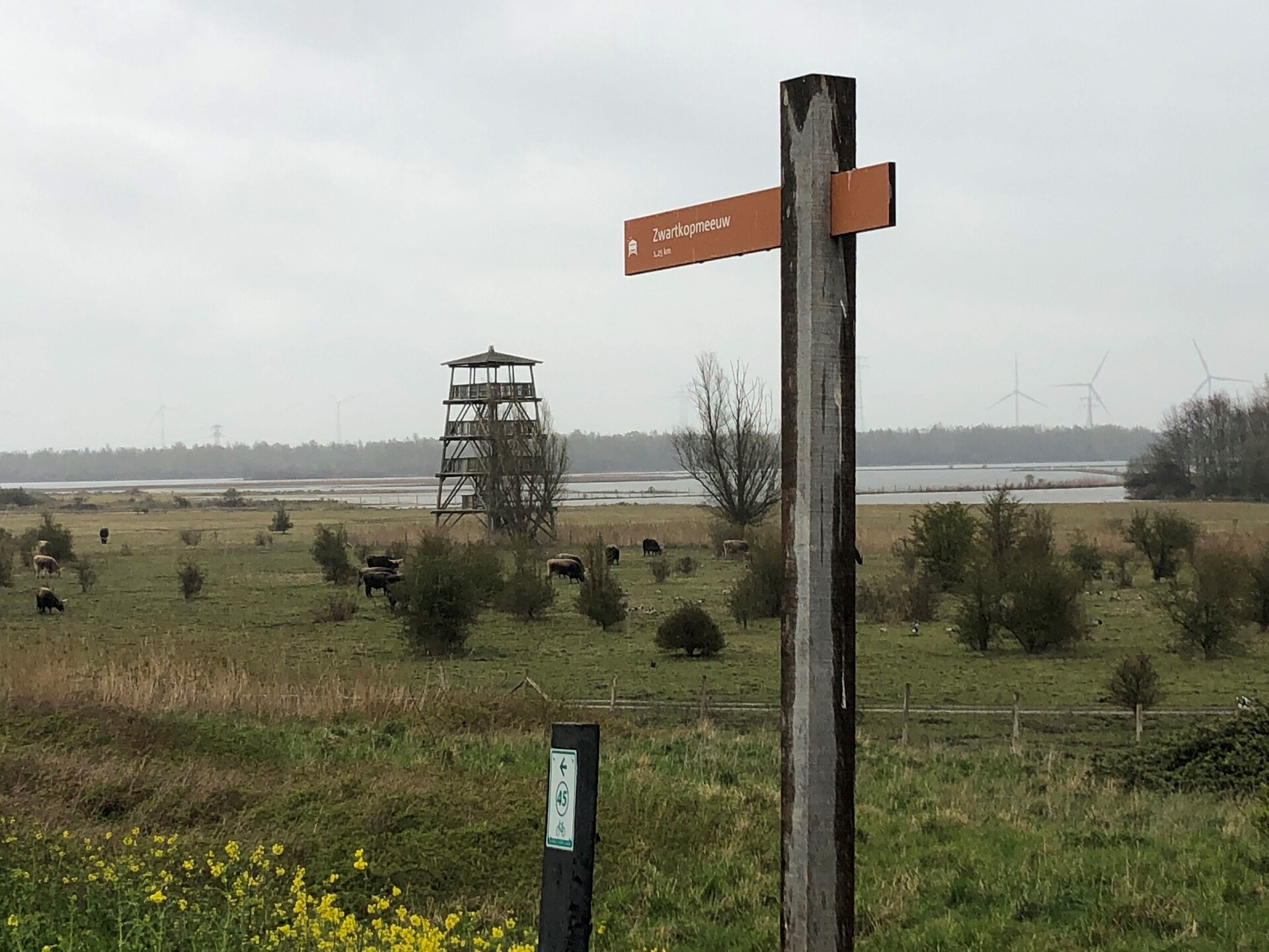 Villa Avondrood: watervilla met aanlegsteiger aan het Volkerak - foto 35