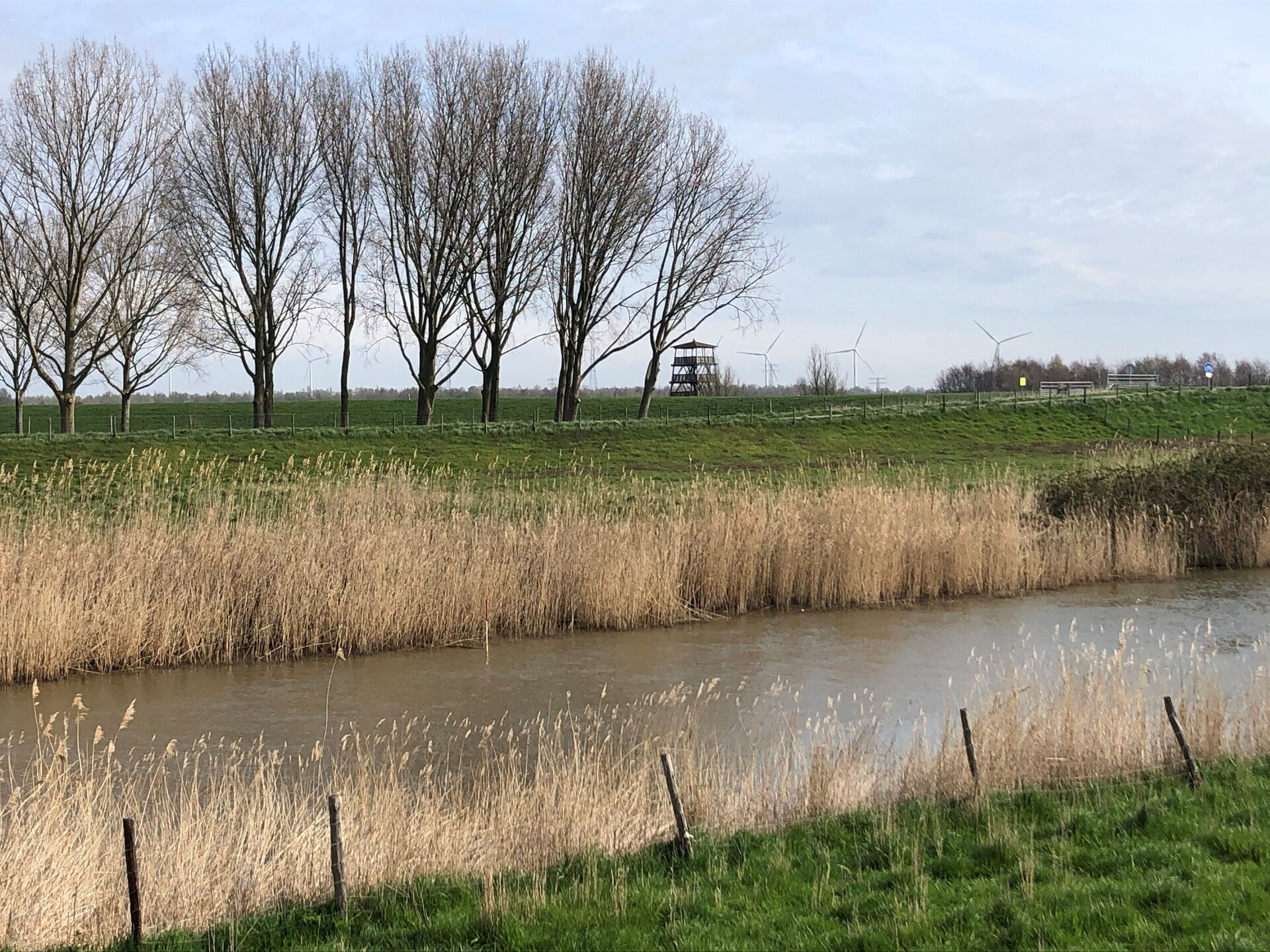Villa Avondrood: watervilla met aanlegsteiger aan het Volkerak - foto 38