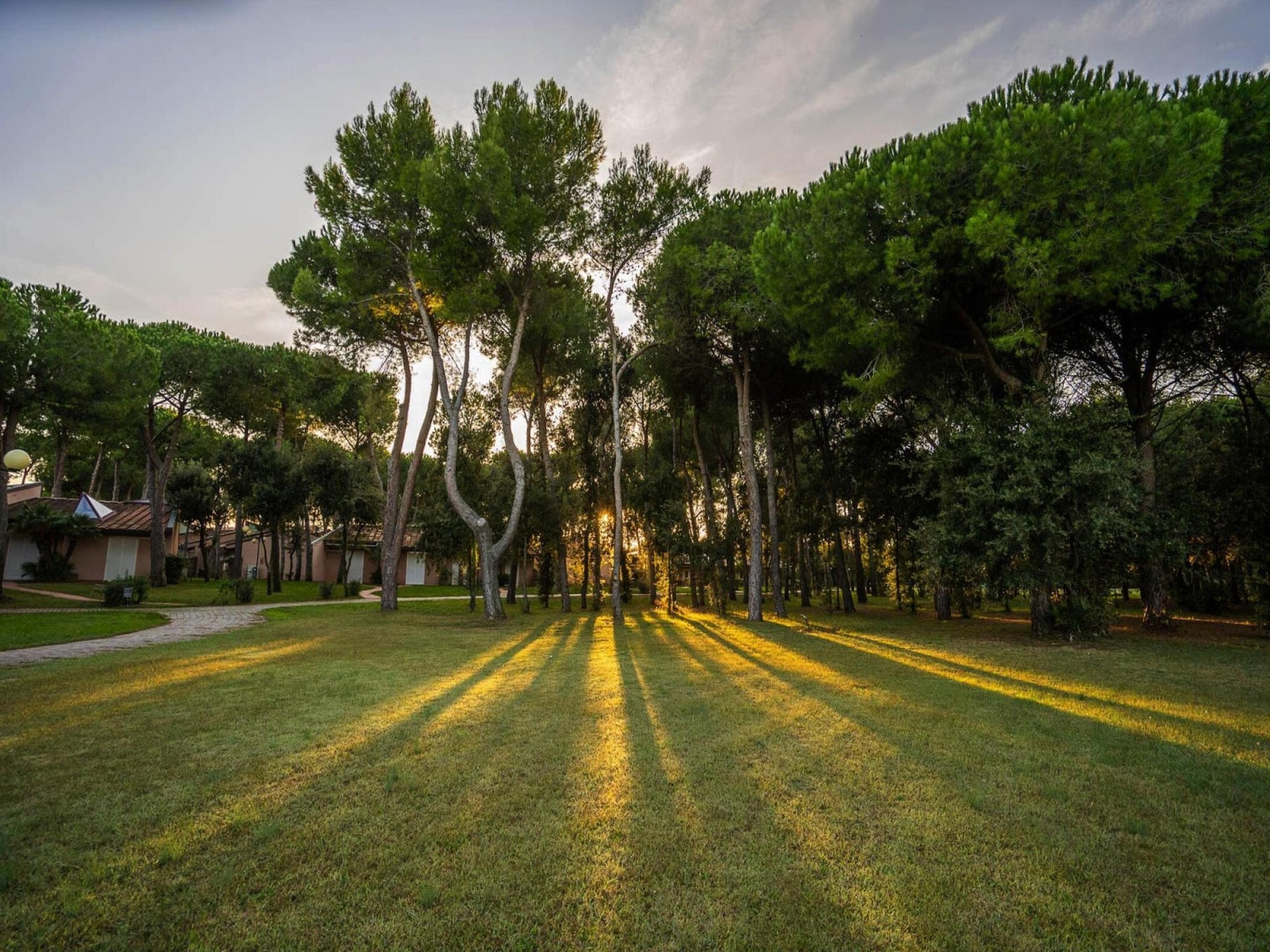 Wellness bungalow aan zee in San Vincenzo voor 4 personen - foto 6