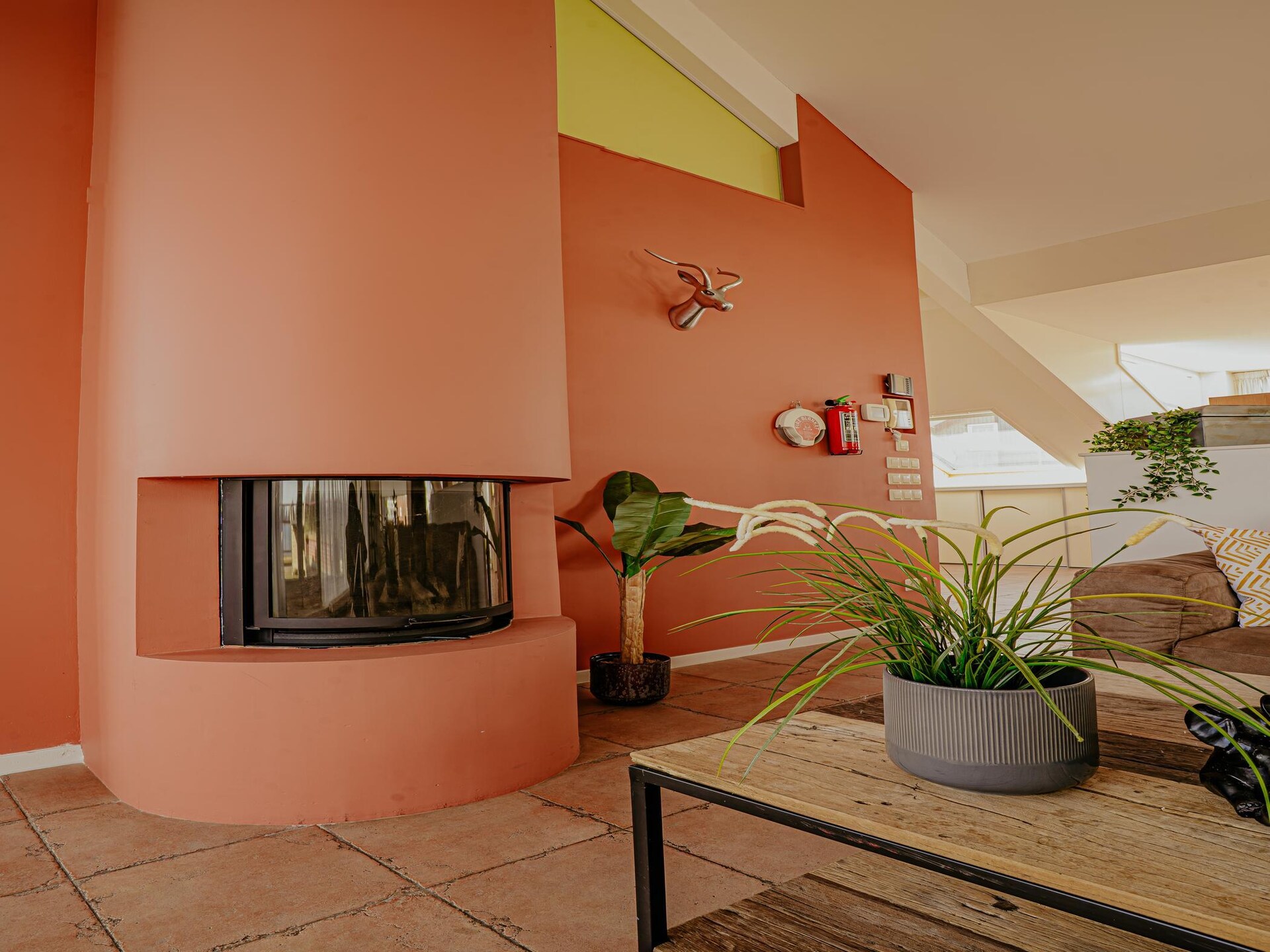 Waterpark de Meerparel 12: Knus appartement aan het Uitgeestermeer - foto 17