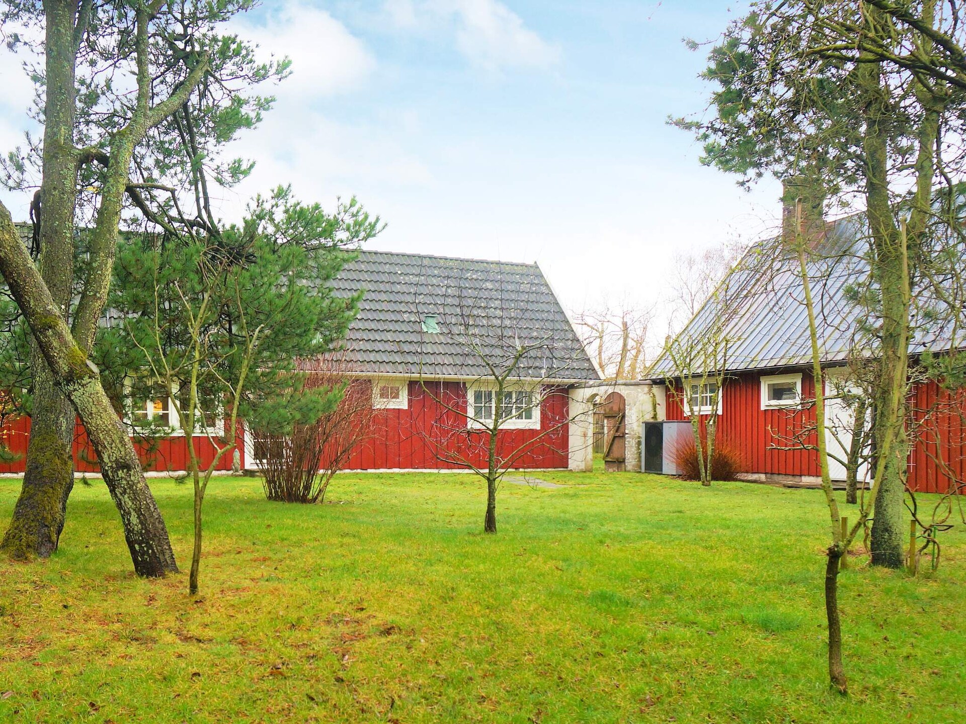 09764 - foto 2