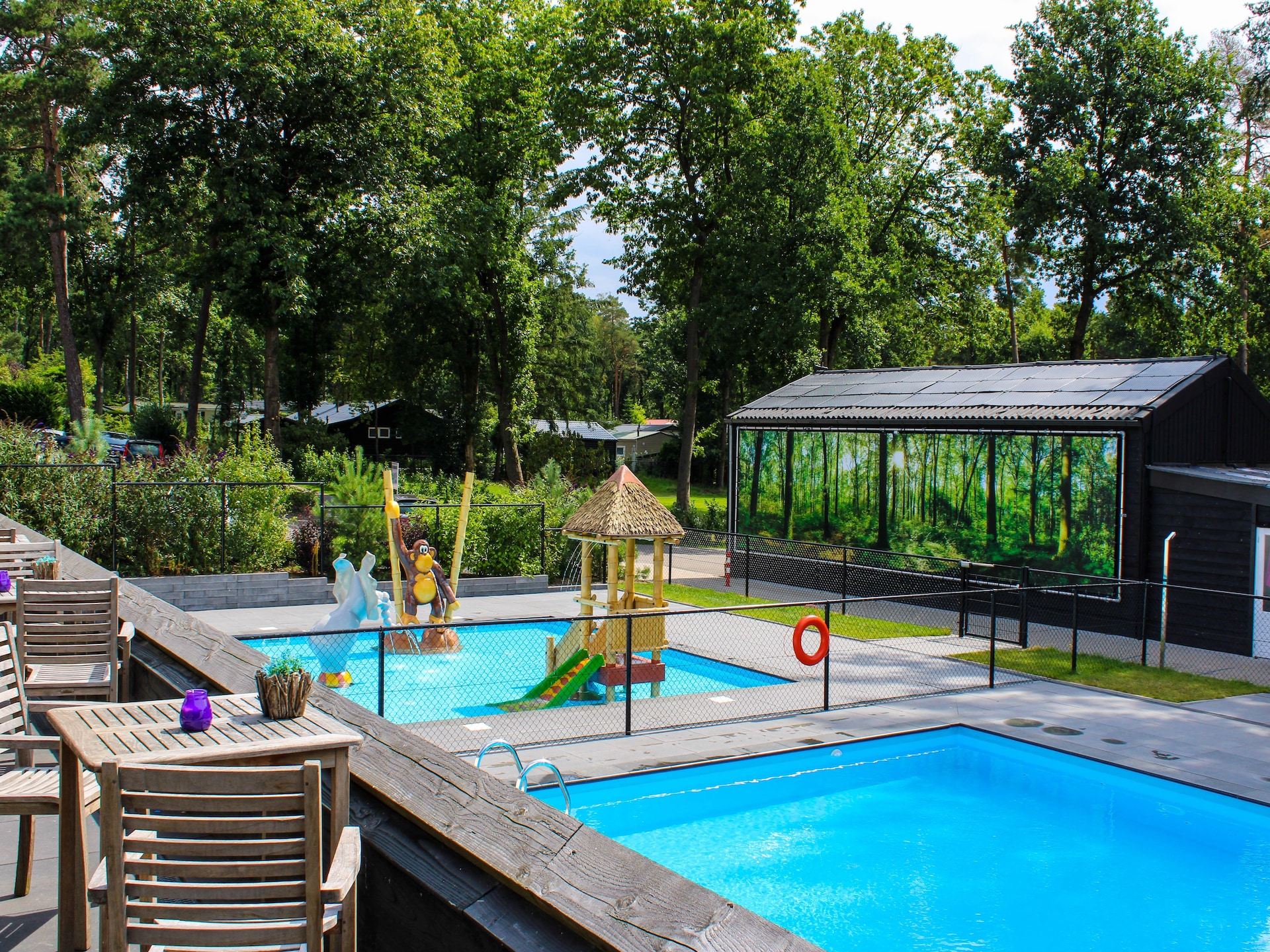 Vrijstaand chalet in Hoenderloo met privétuin, zwembad & honden welkom - foto 5