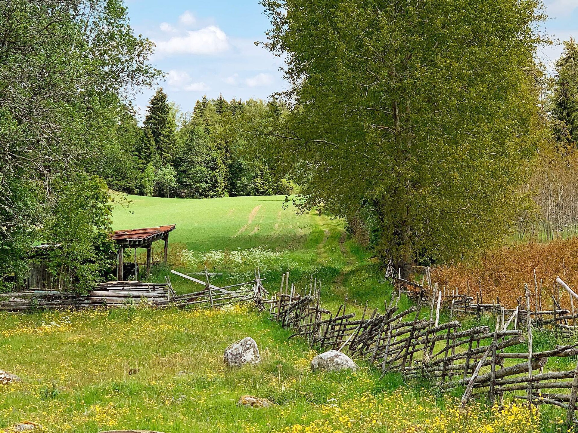 Authentiek Zweeds vakantiehuis op boerderij bij Nässjö, direct aan golfbaan - foto 27