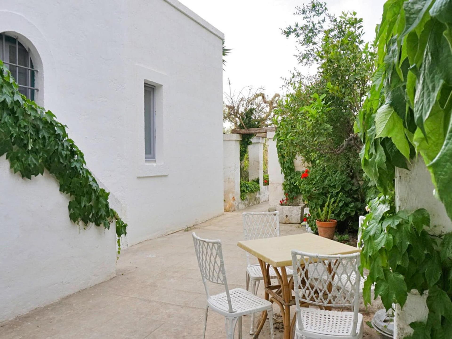 Authentiek vakantiehuis voor 8 personen nabij Ostuni - foto 27