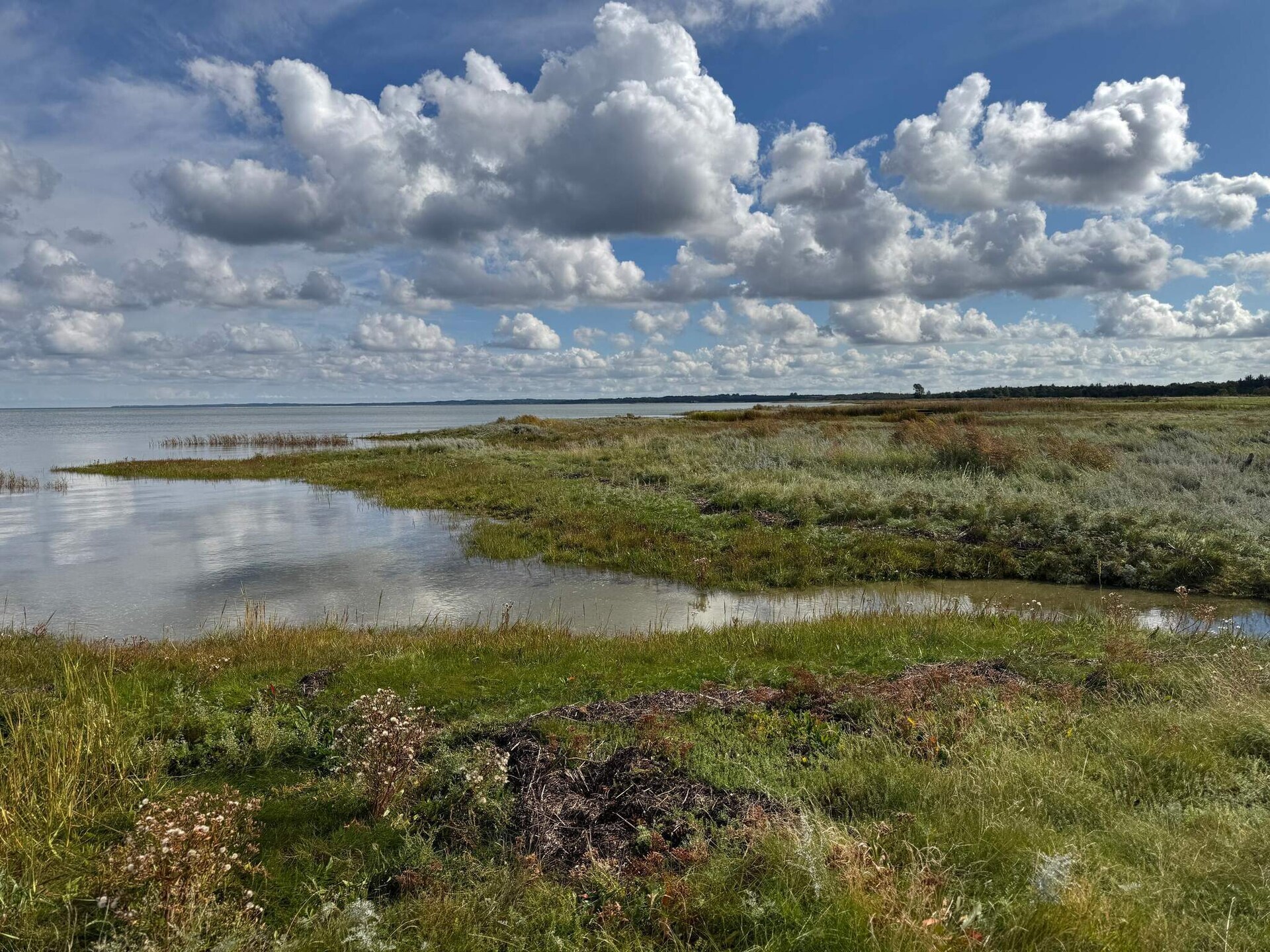 09531 - foto 6
