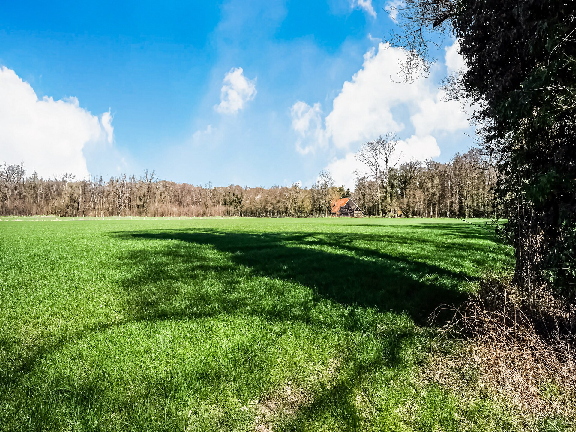 't Huuske Truuske: Landelijk genieten aan de vijver in Twente - foto 36