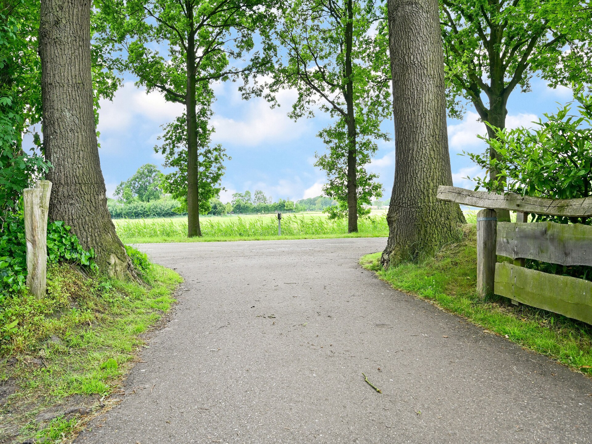 't Huuske Truuske: Landelijk genieten aan de vijver in Twente - foto 34