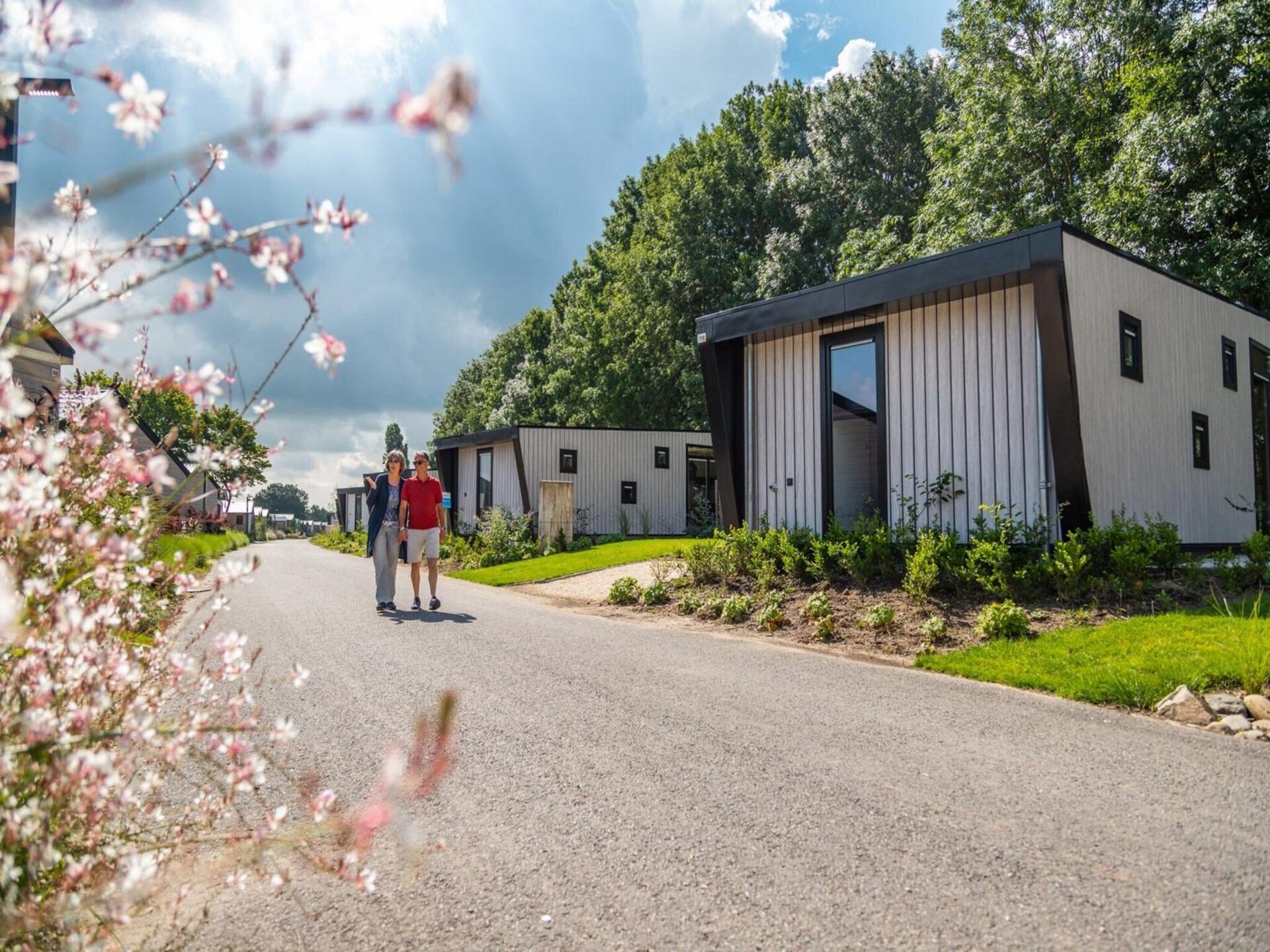 Modern chalet voor 6 personen vlakbij de Efteling in Kaatsheuvel - foto 6
